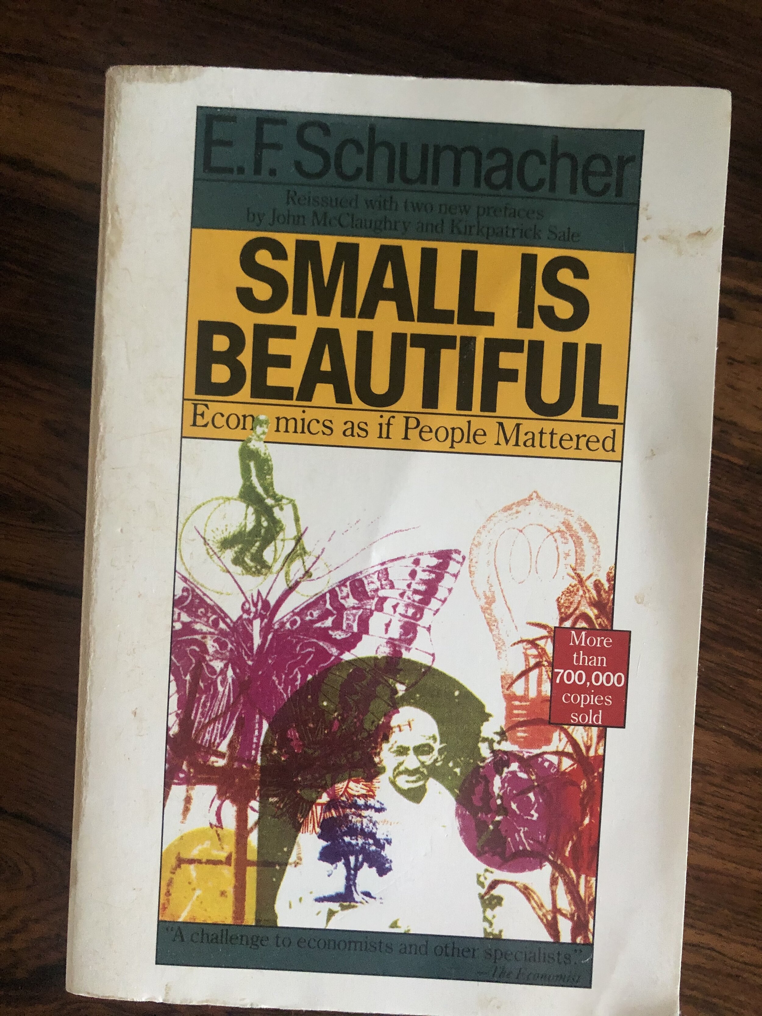 Small is beautiful _ Schumacher _ Reframe CASA.jpg