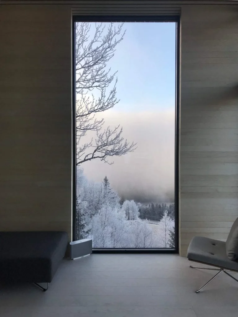 Livingroom window.jpeg