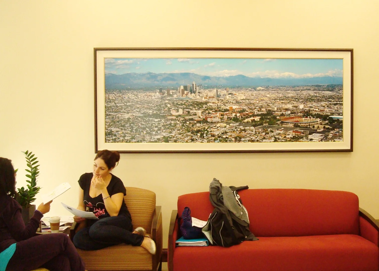 Los Angeles Arial Photograph in Situ