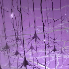Stem Cell Diptych Detail 1