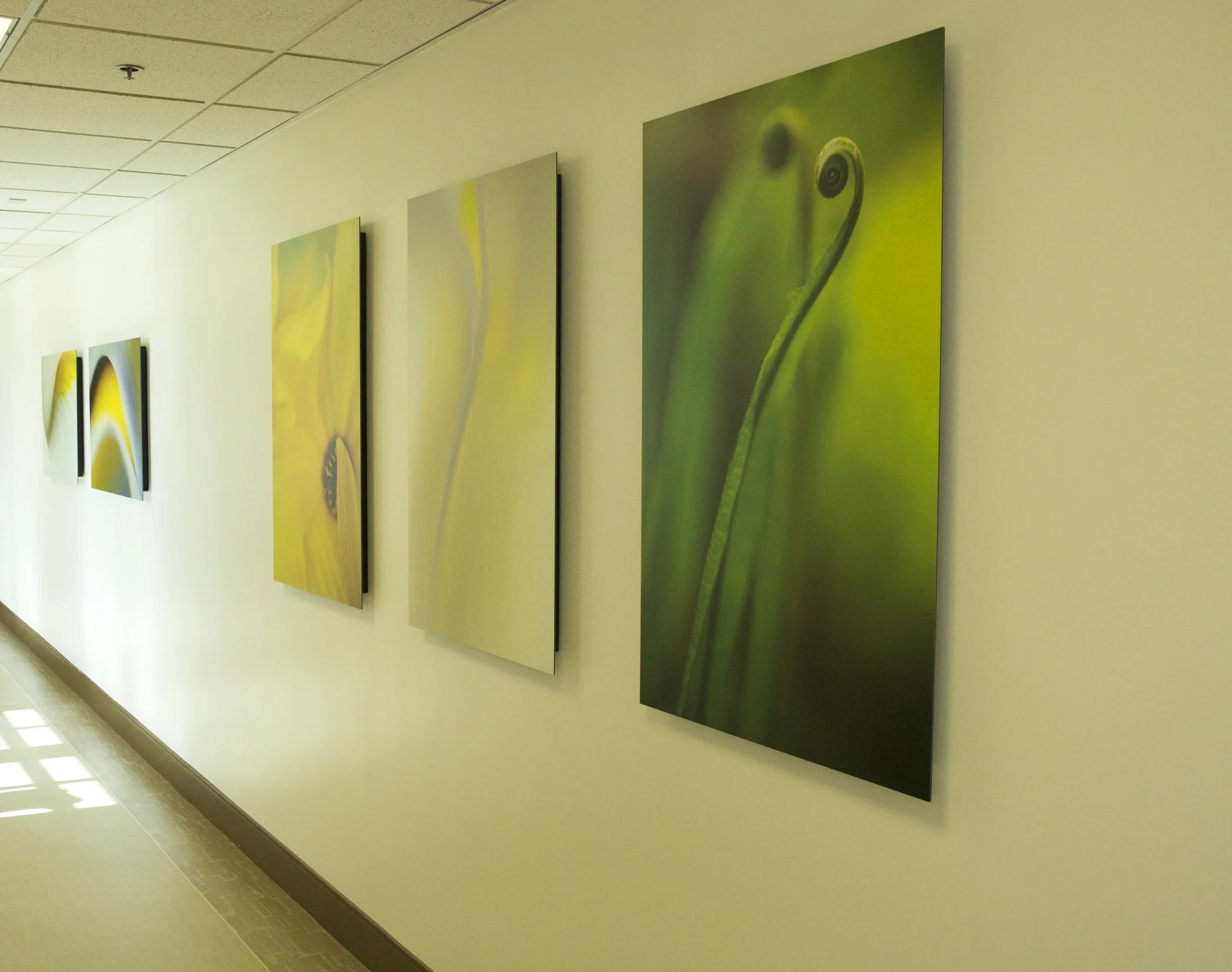 Series of Three