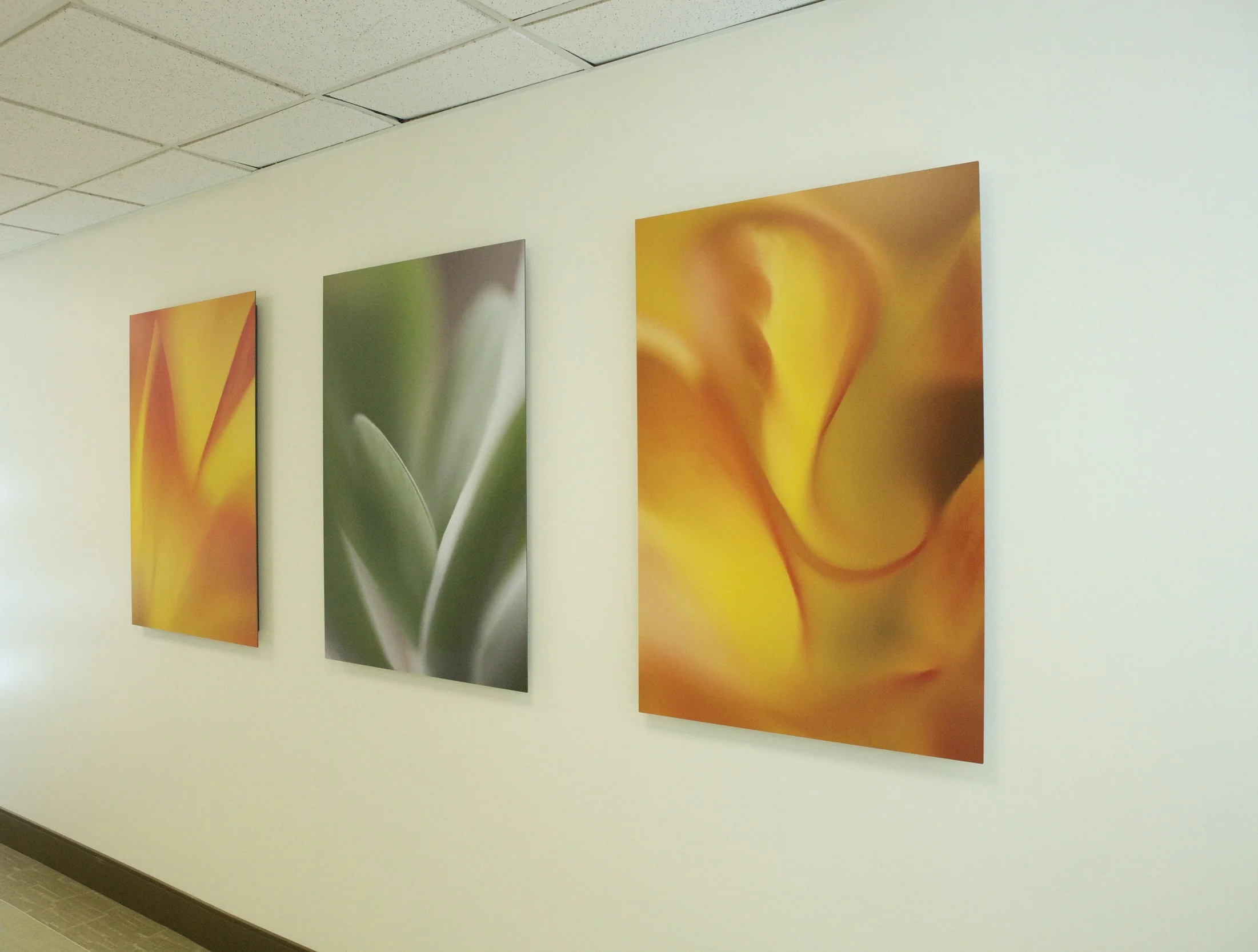 Series of Three