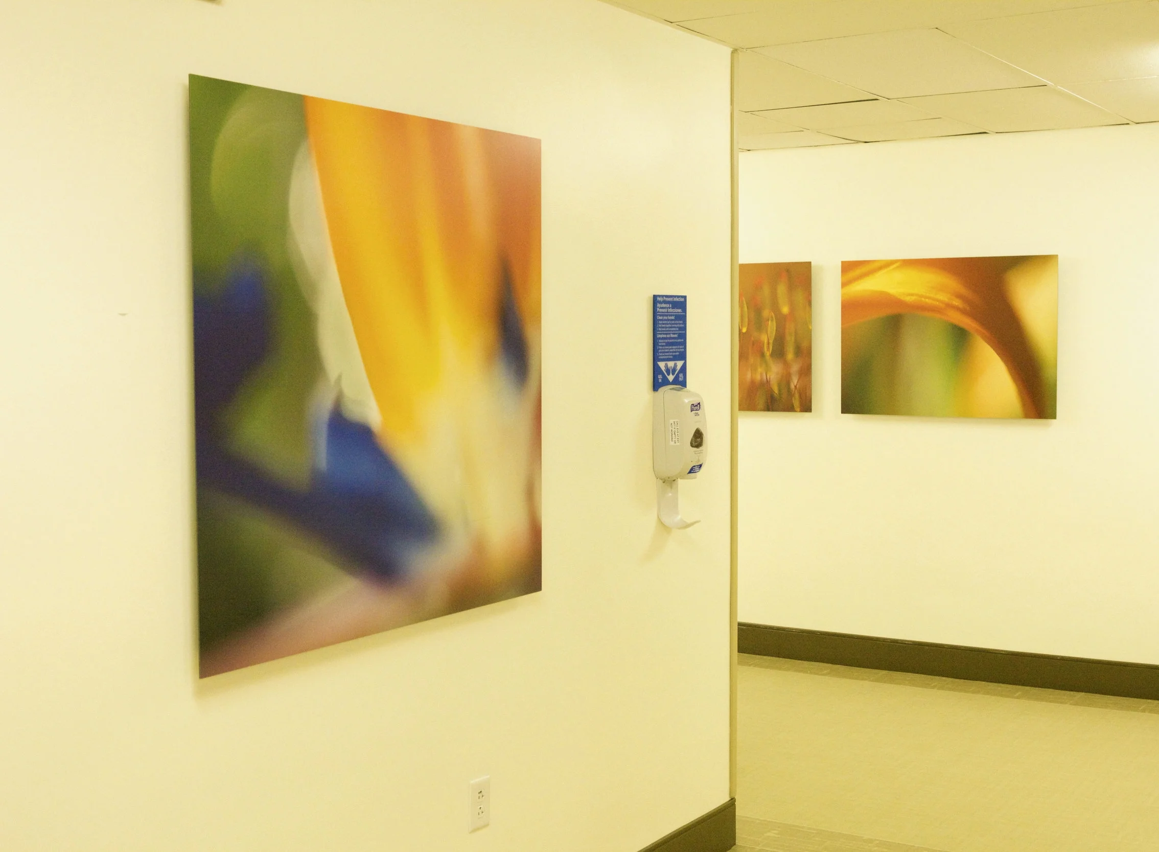End of Corridor