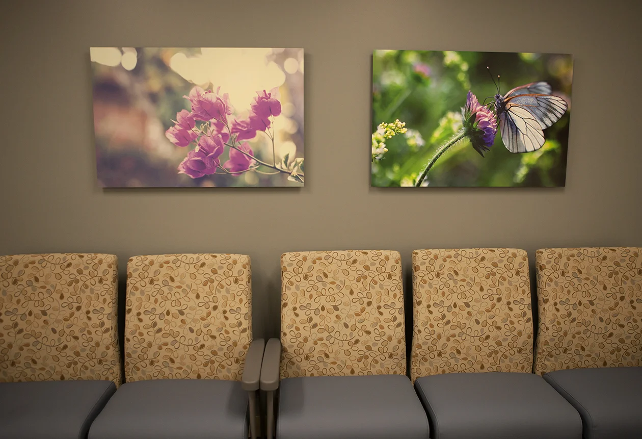 Art in Waiting Room
