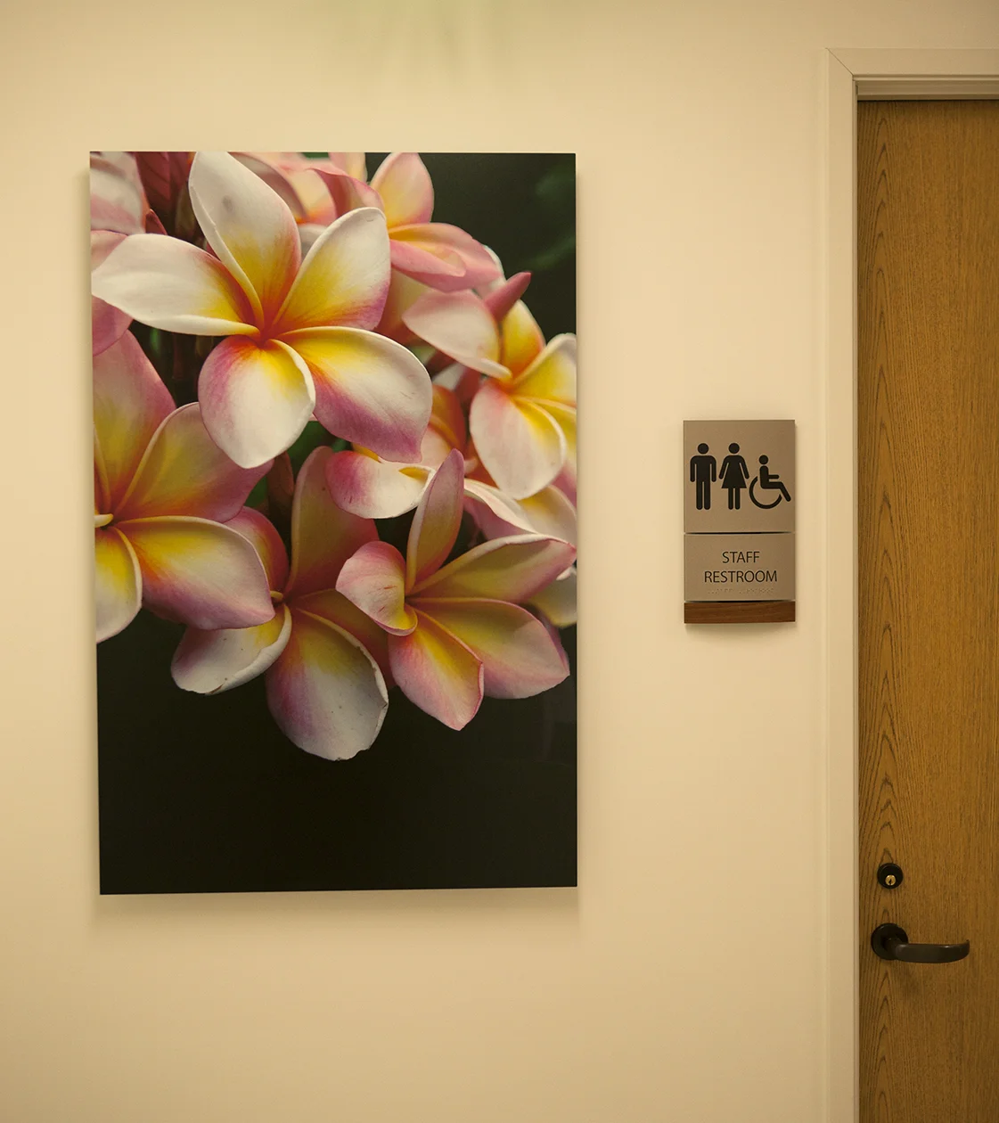 Plumeria in Situ