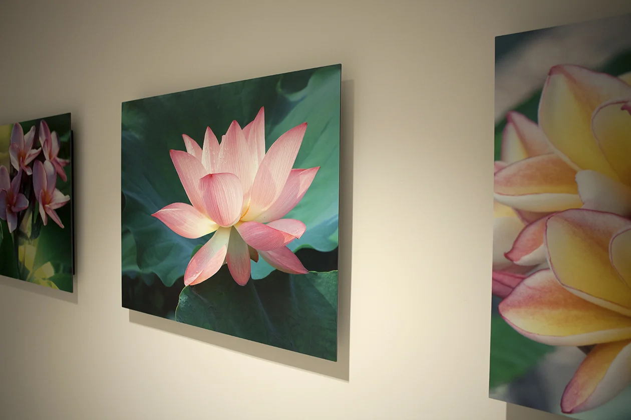 Tropical Flowers in Situ