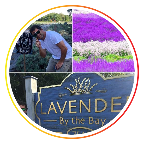 The Road (even) Less Travelled, Part II