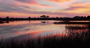 bayou1.jpeg