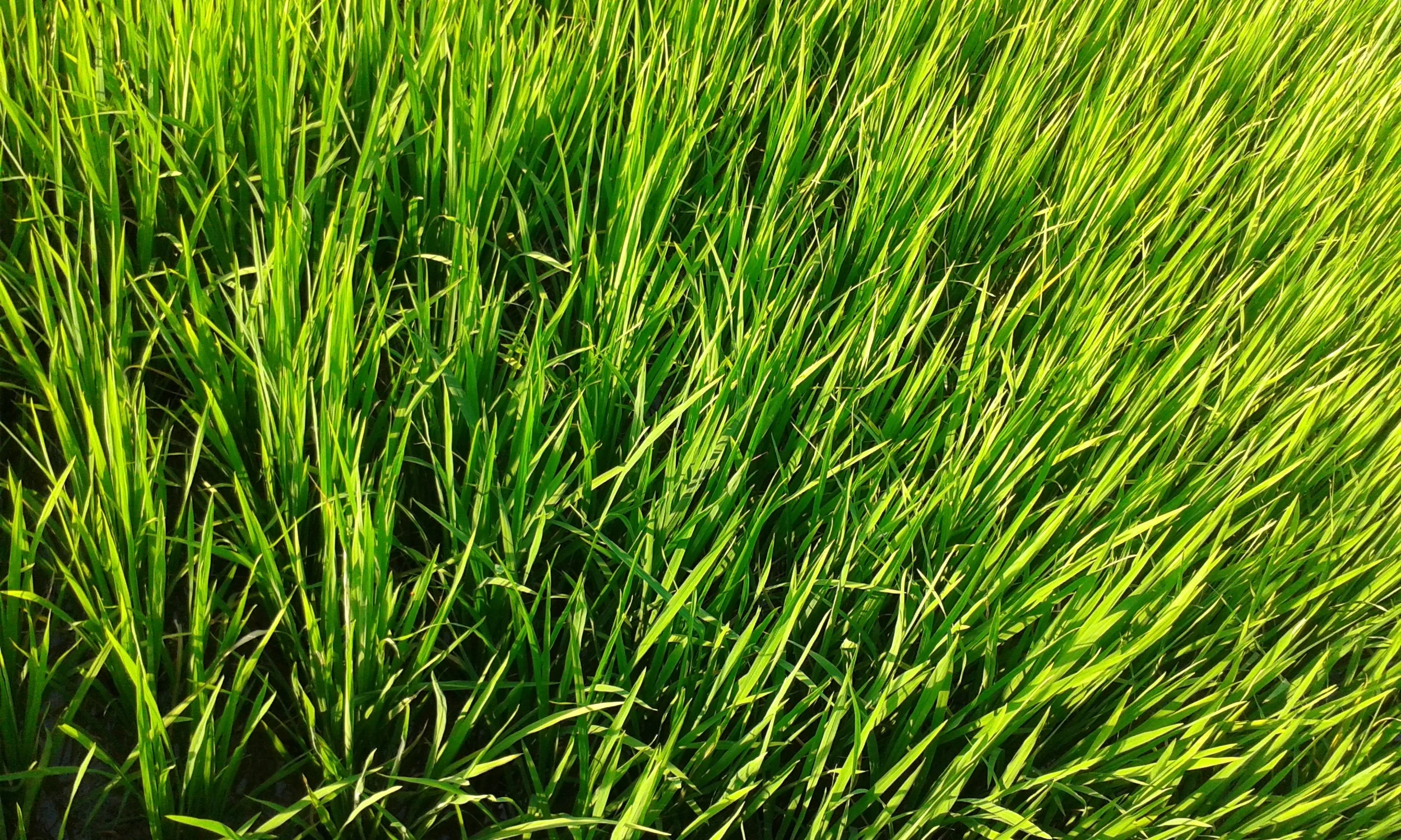 20150531_154011.jpg