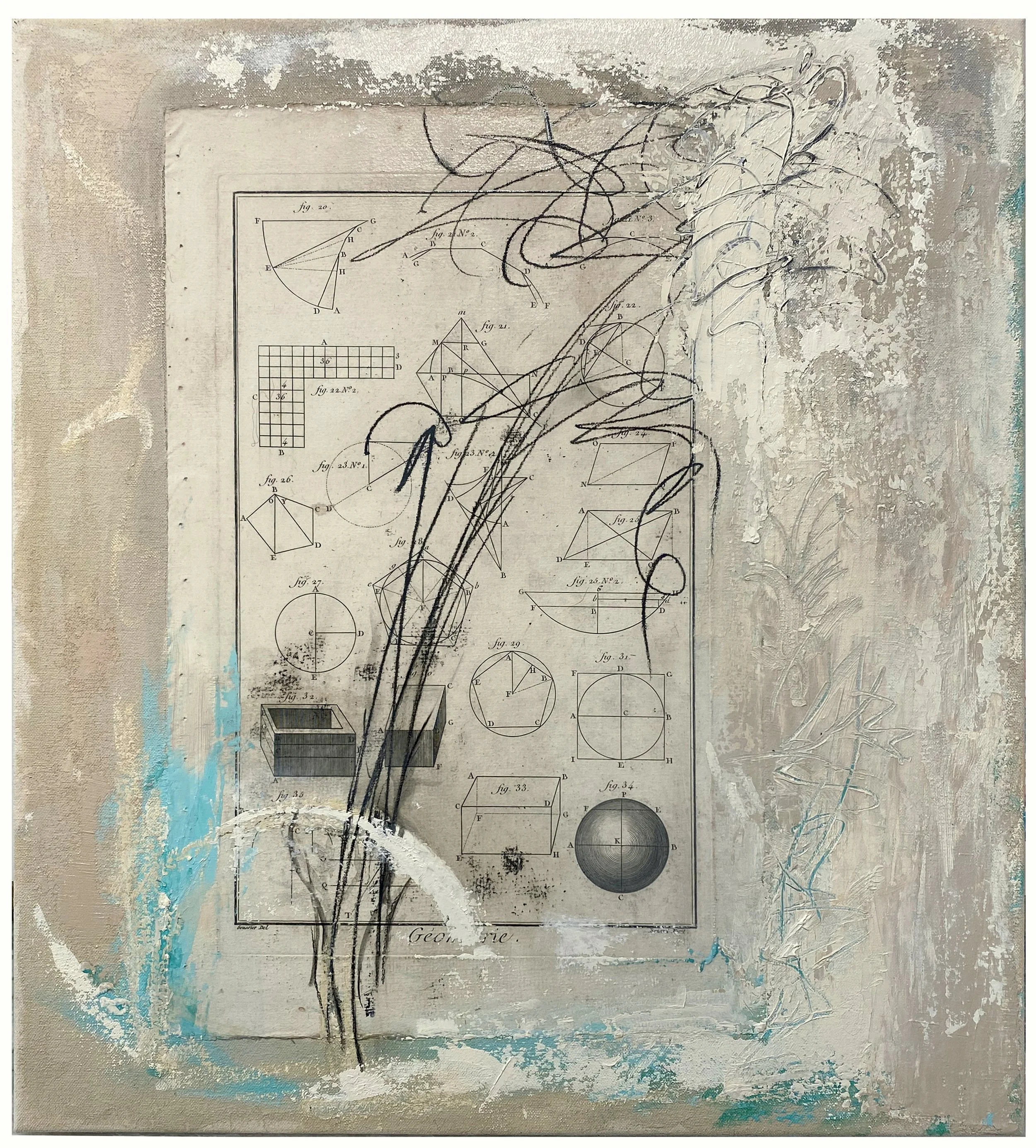   Geometry of Flowers III   ink &amp; oil &amp; paper on canvas; 2026  20 × 18” 