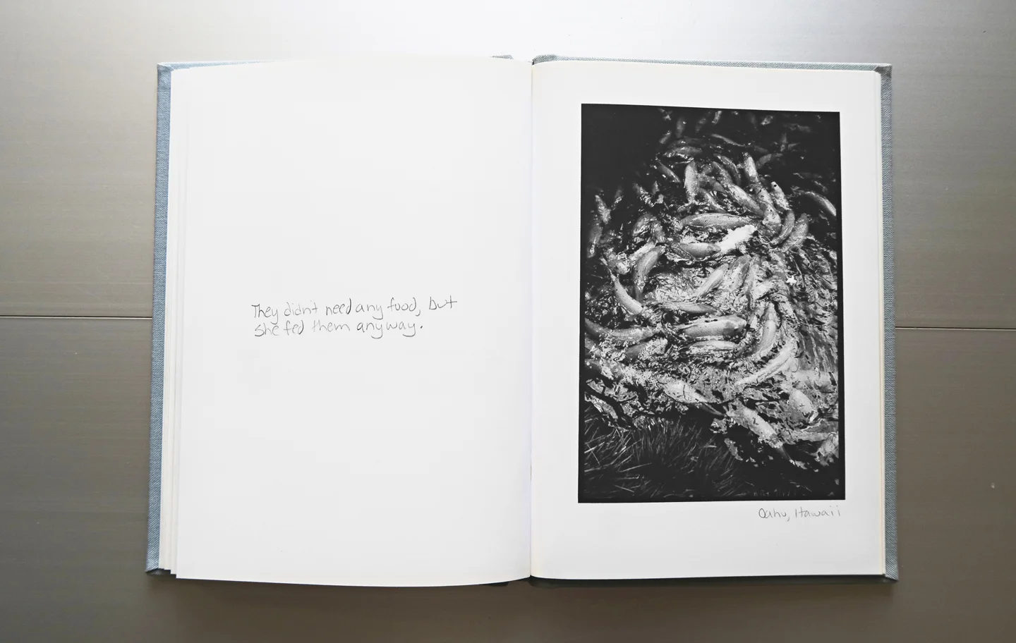 Photography and text by Joanne Dugan Limited edition hardcover book For more information and to purchase, please email the studio.