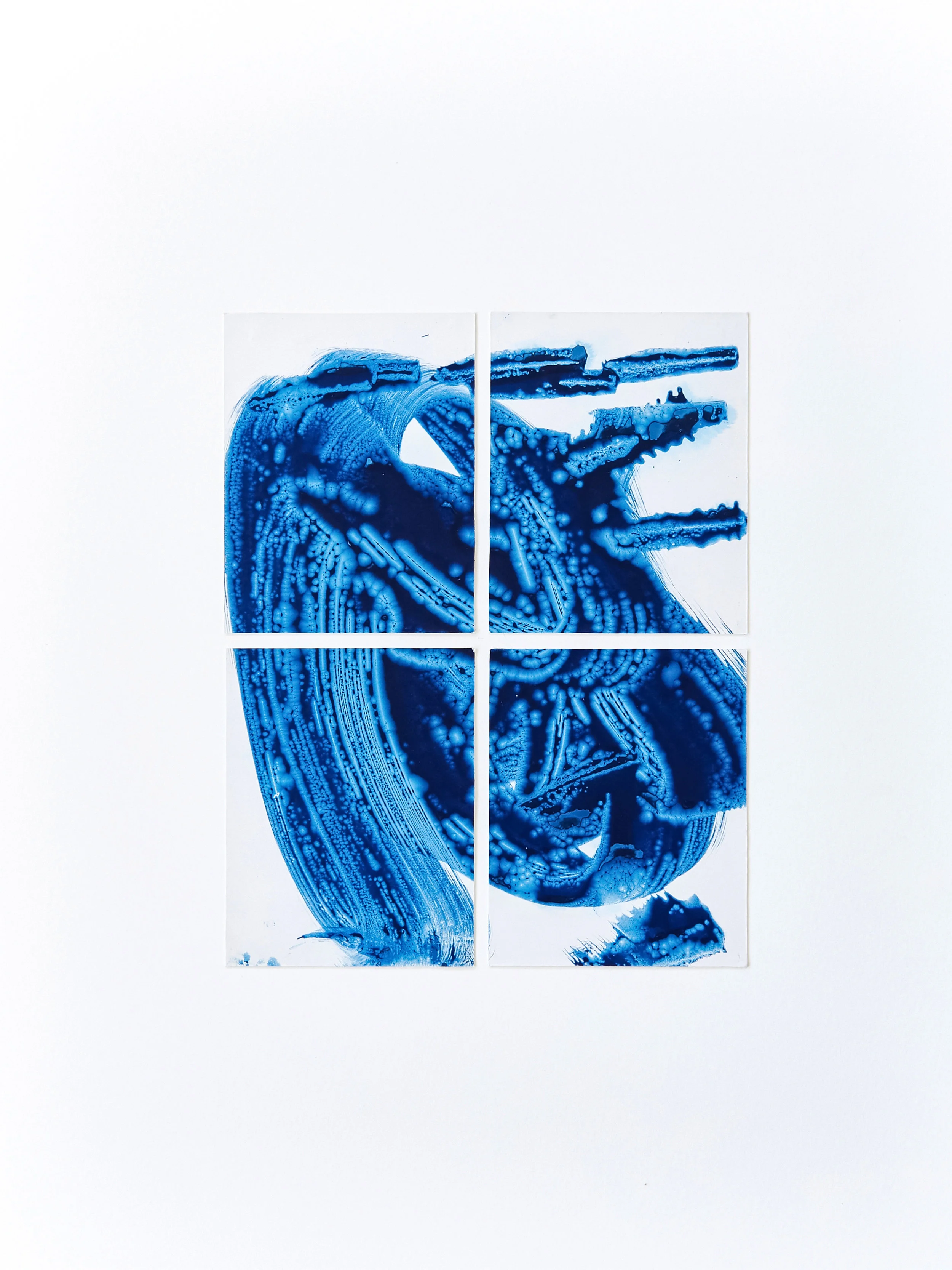 Dune Shack Cyanotypes, #22, 2019