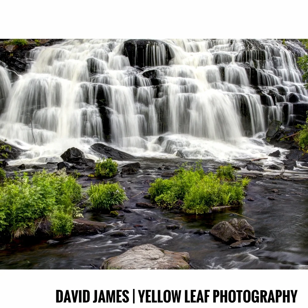 David James | Yellow Leaf Photography