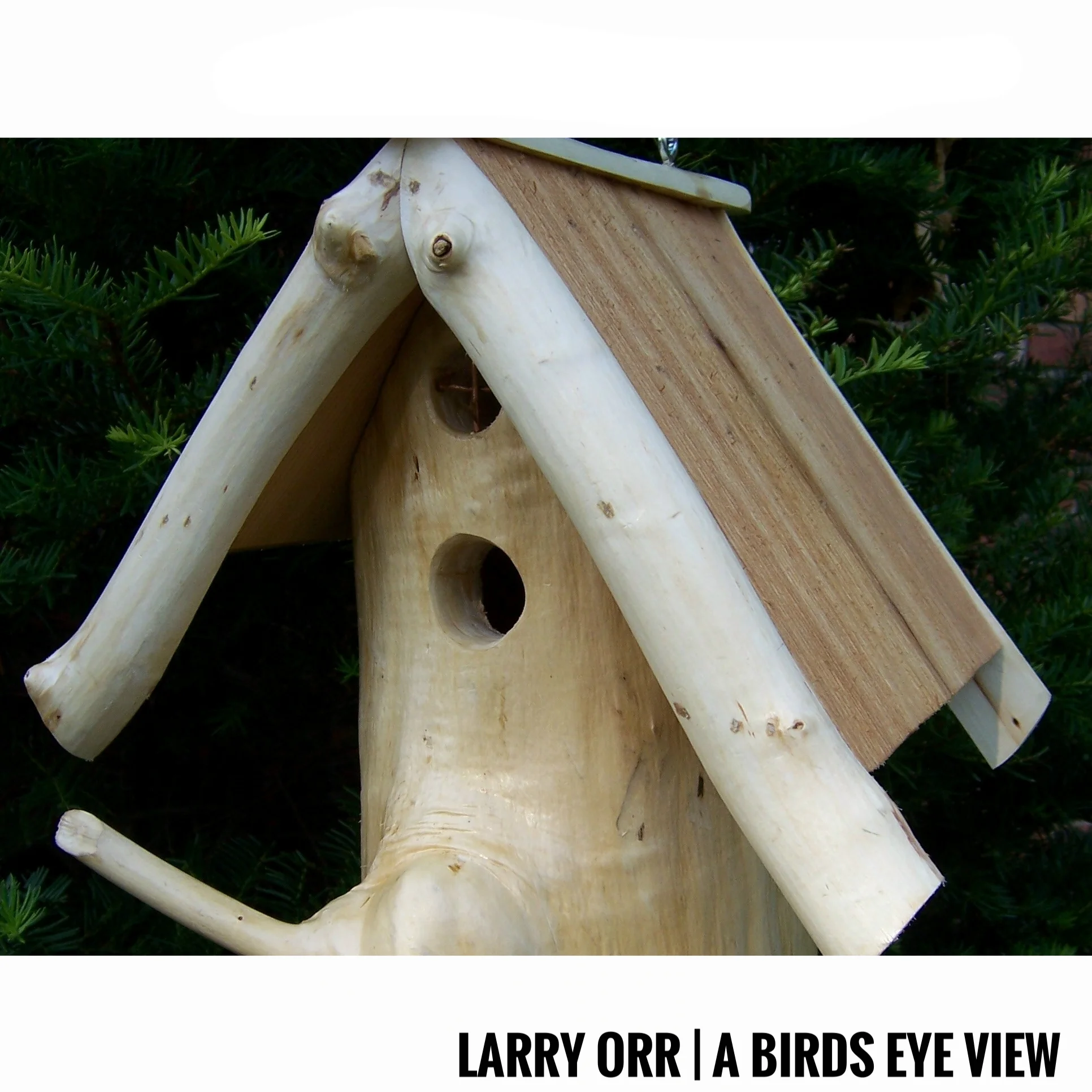 Larry Orr | A Birds Eye View
