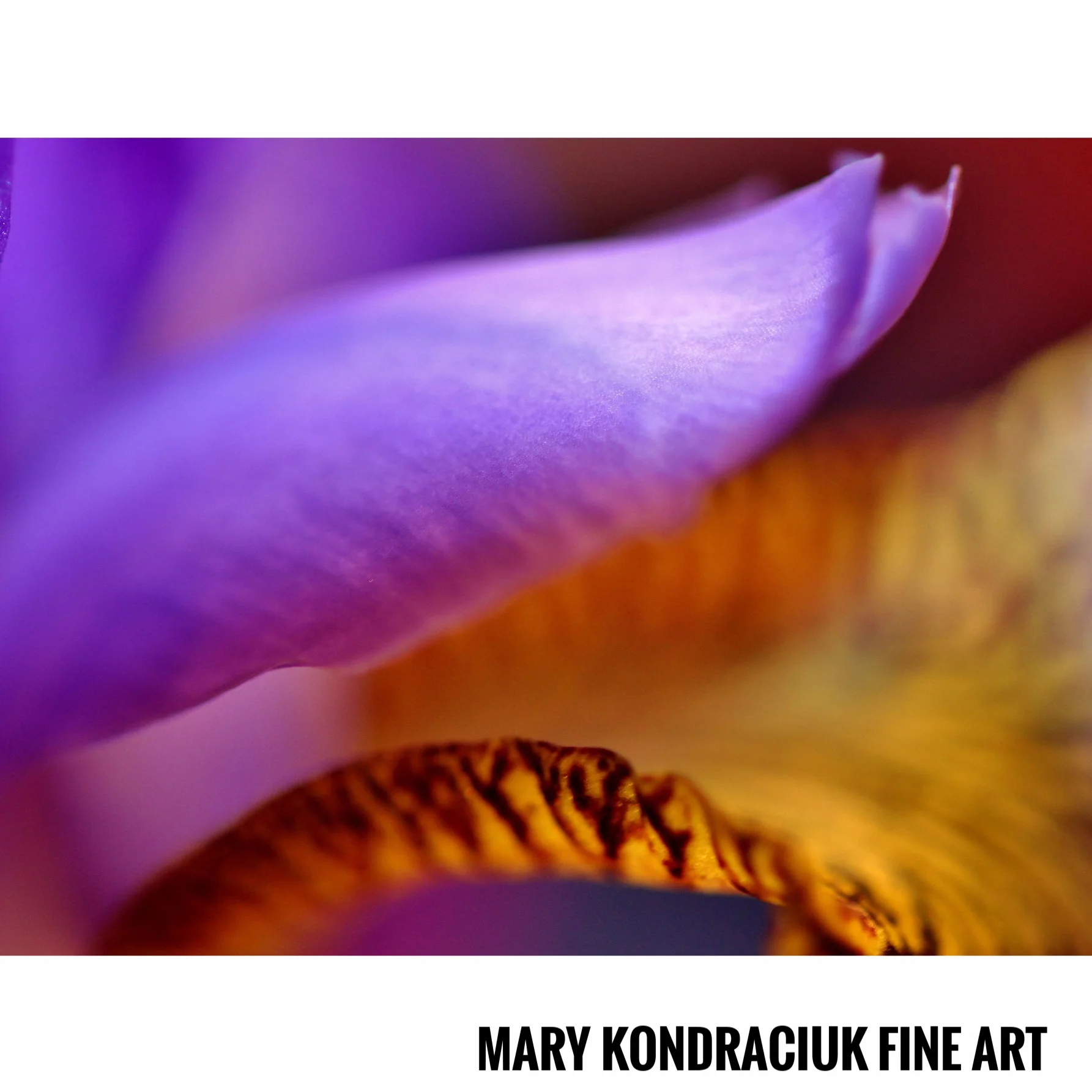 Mary Kondraciuk Fine Art