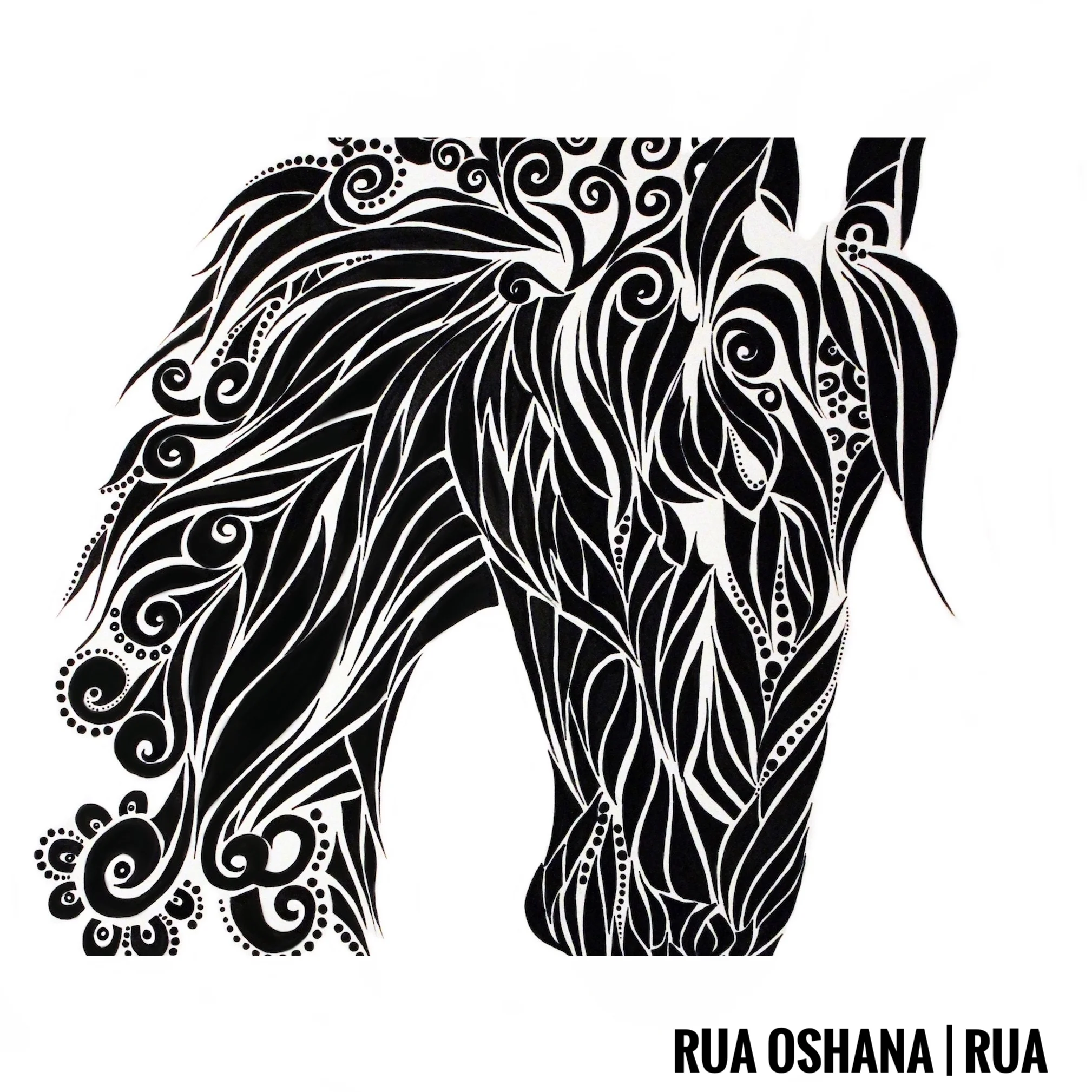 Rua Oshana | RUA