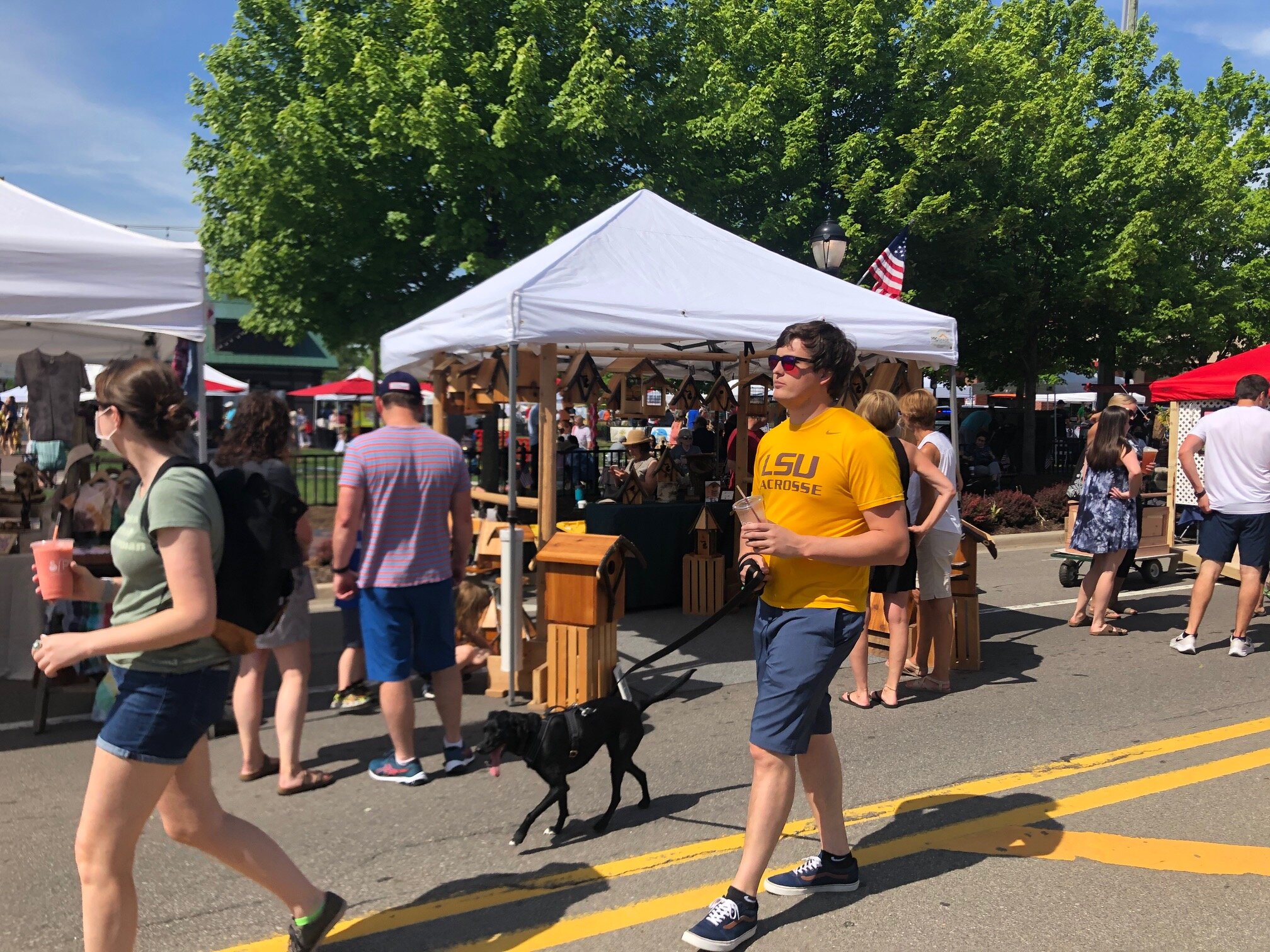 Birdhouses, guy with dog.jpg