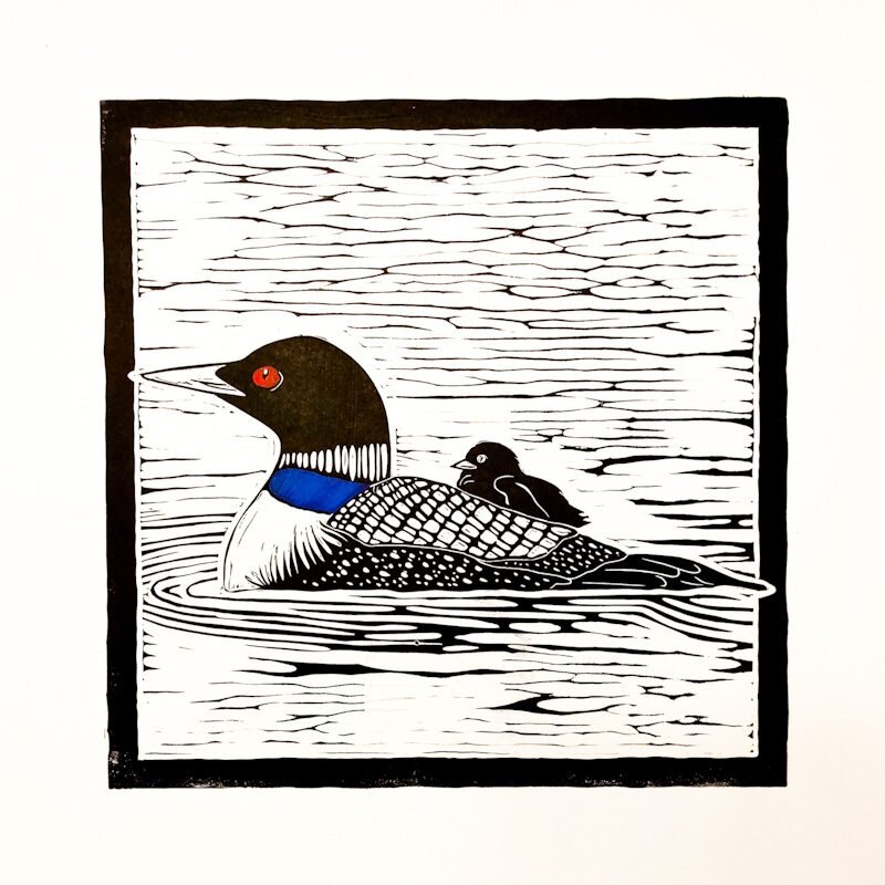 Betsy Stecker - Loon and Chick.jpg
