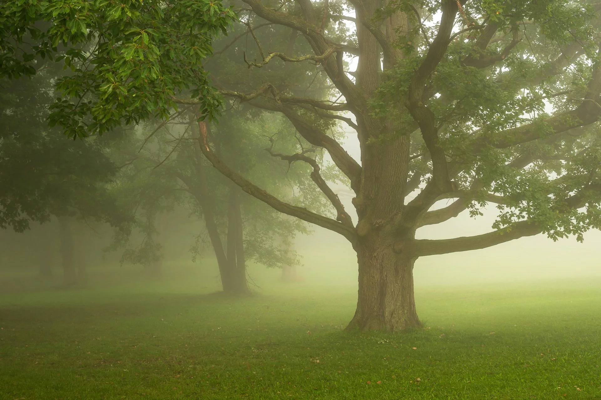 LaBelle Photography, #7