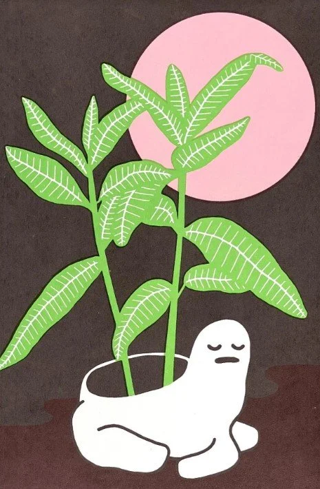 Melissa Dettloff, #43