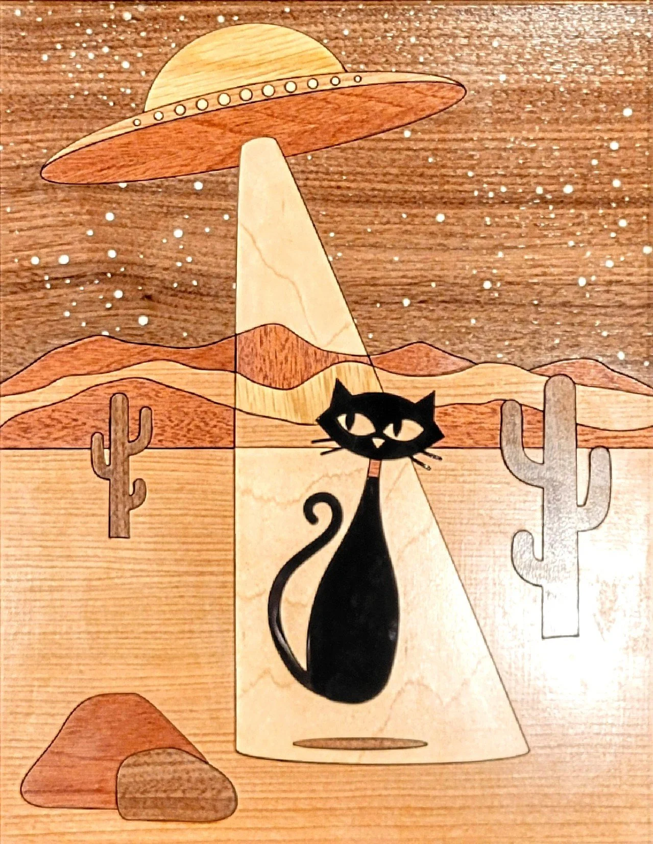 Dylan Anderson of Chromatoform - Wood.jpg