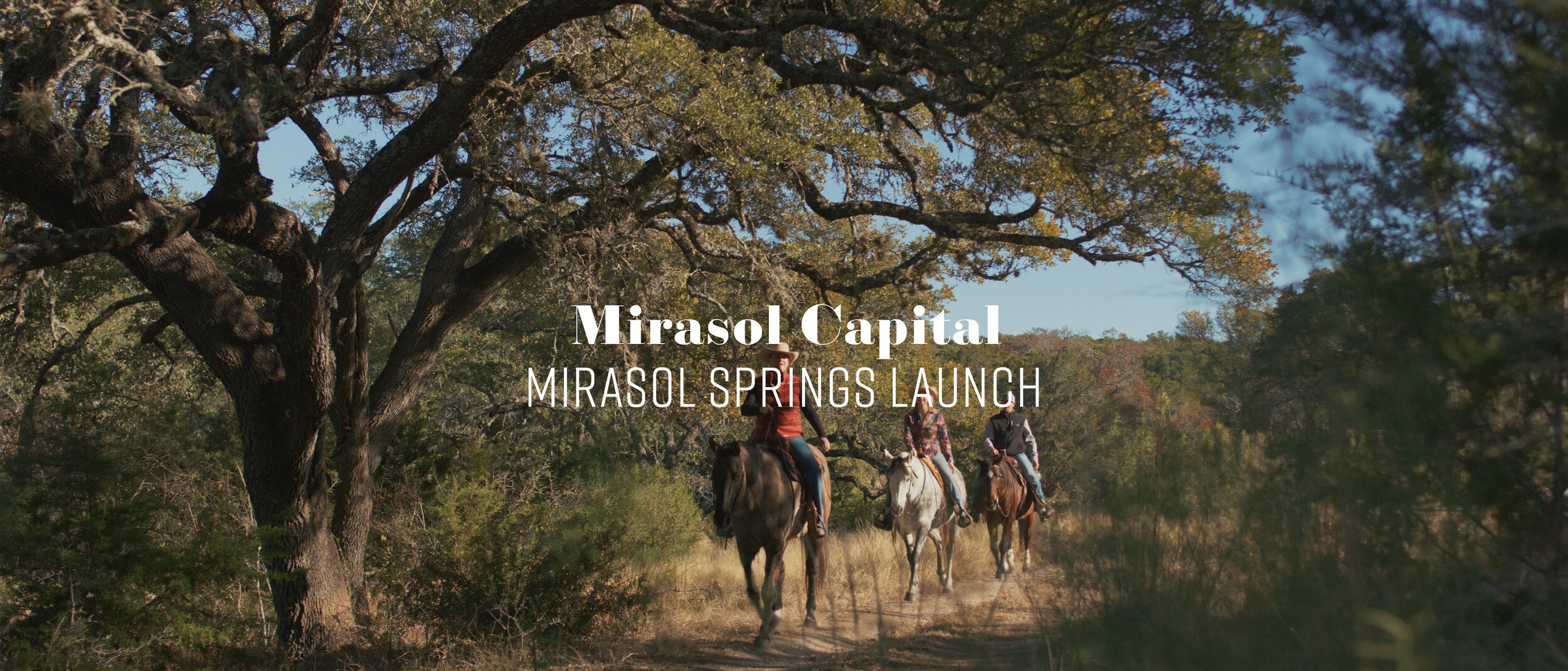 Mirasol Capital web.jpg
