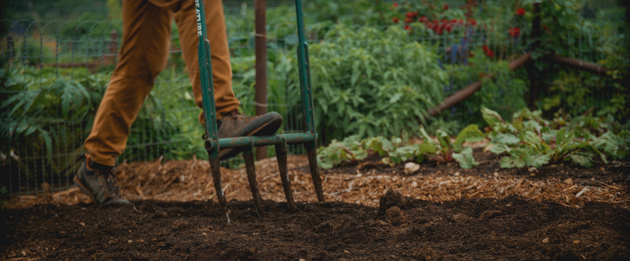 The Farm at Mirasol - Selects-11.JPEG