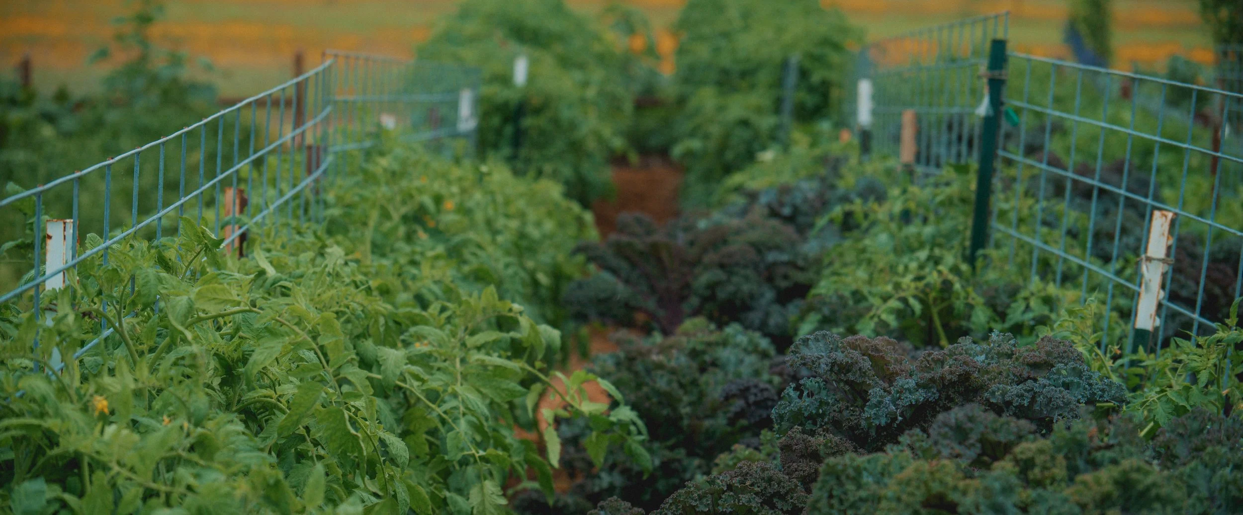 The Farm at Mirasol - Selects-9.JPEG