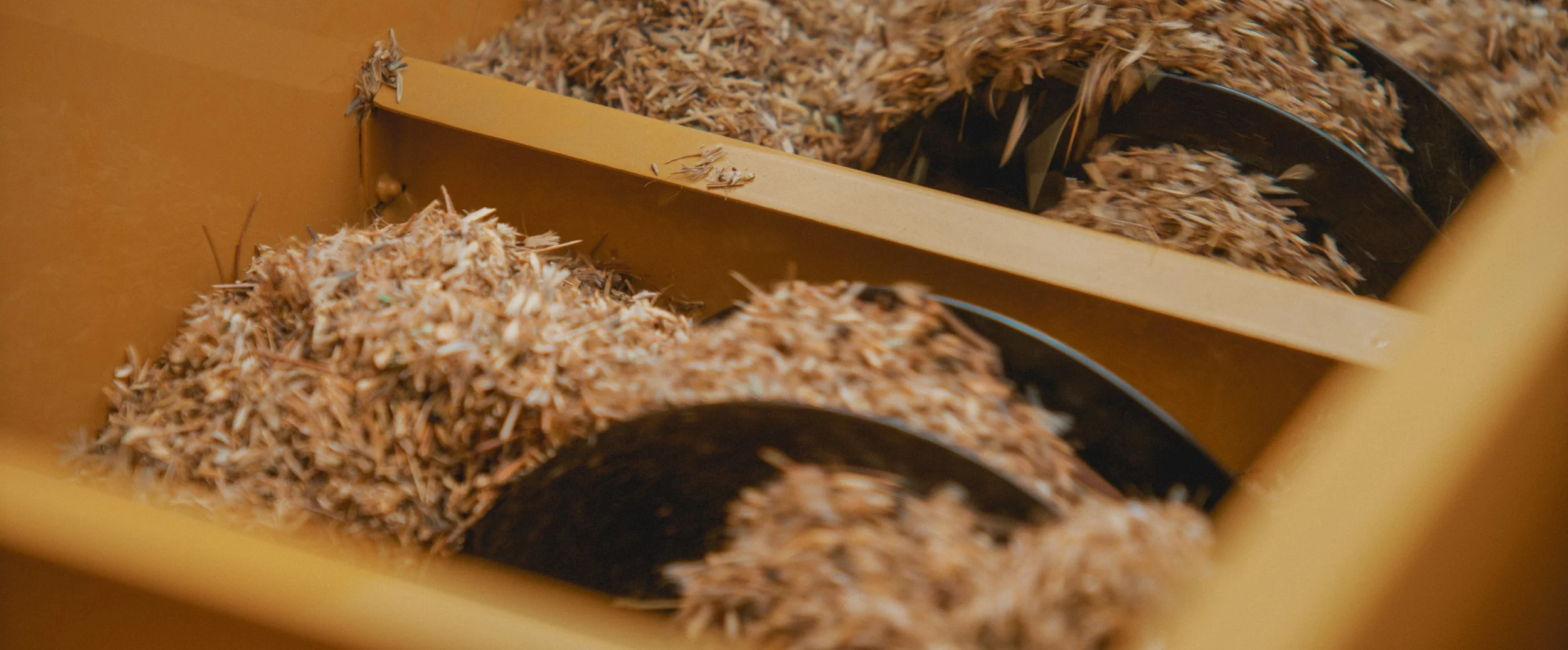 The Farm at Mirasol - Selects-5.JPEG