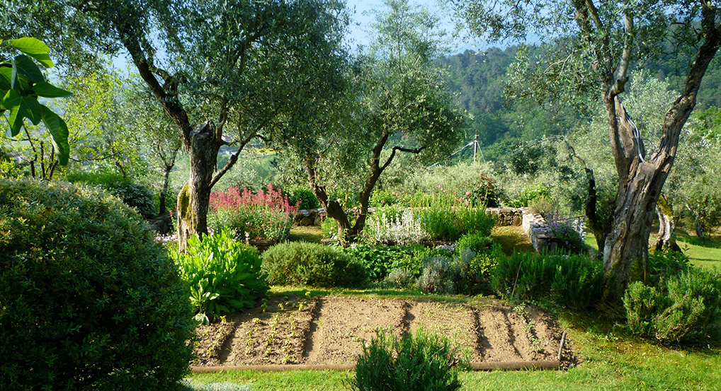 Aromatic Herb Garden