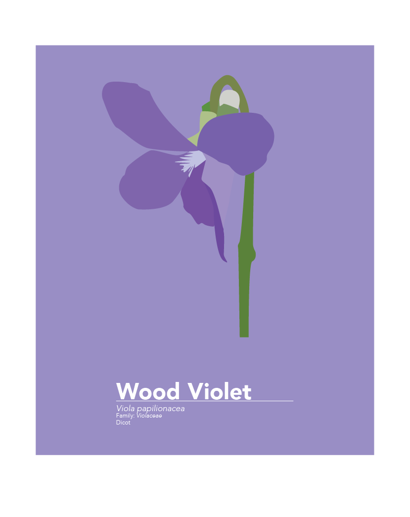 Plants_FInal-02.png