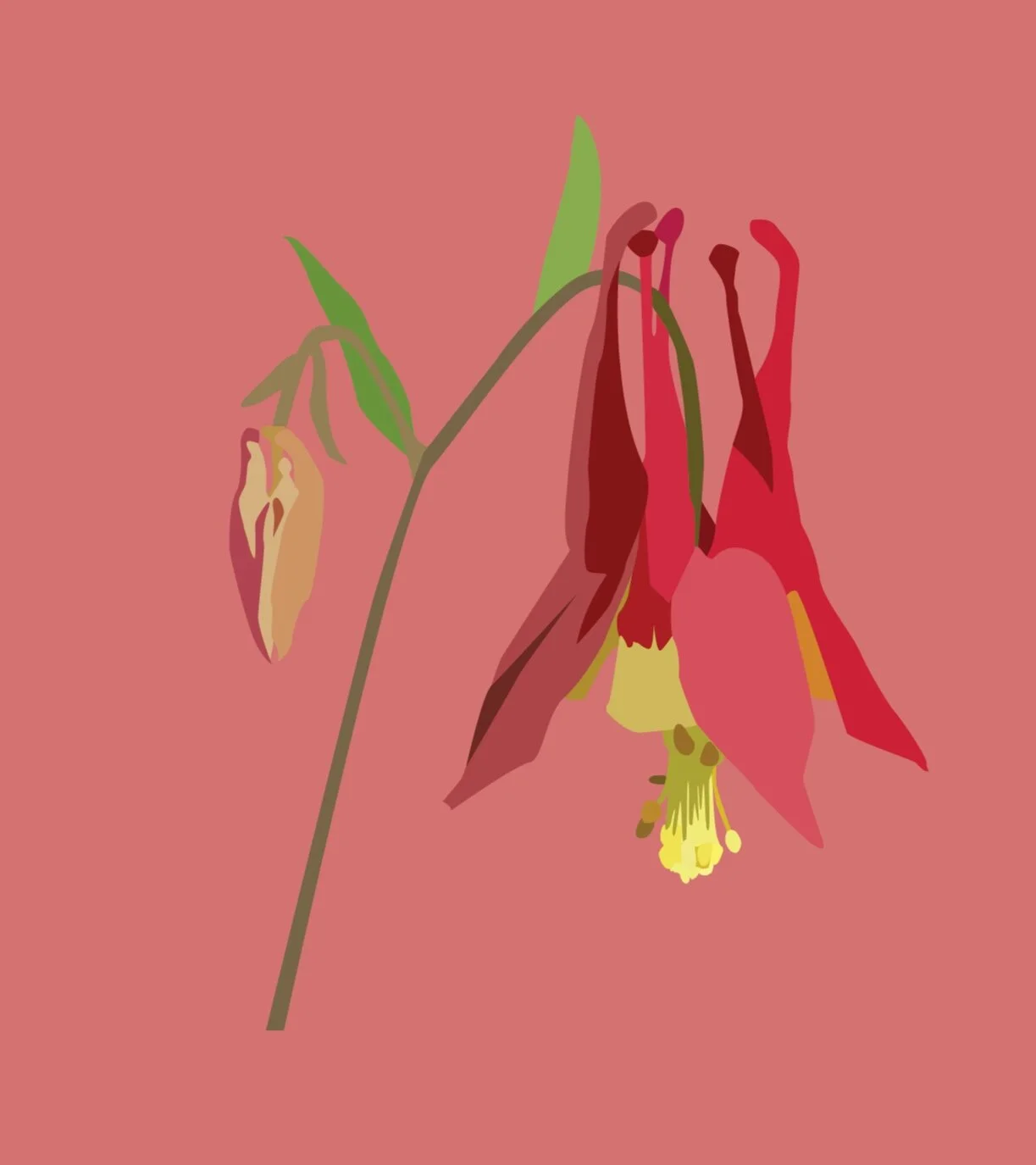 Plants_FInal-07.jpg