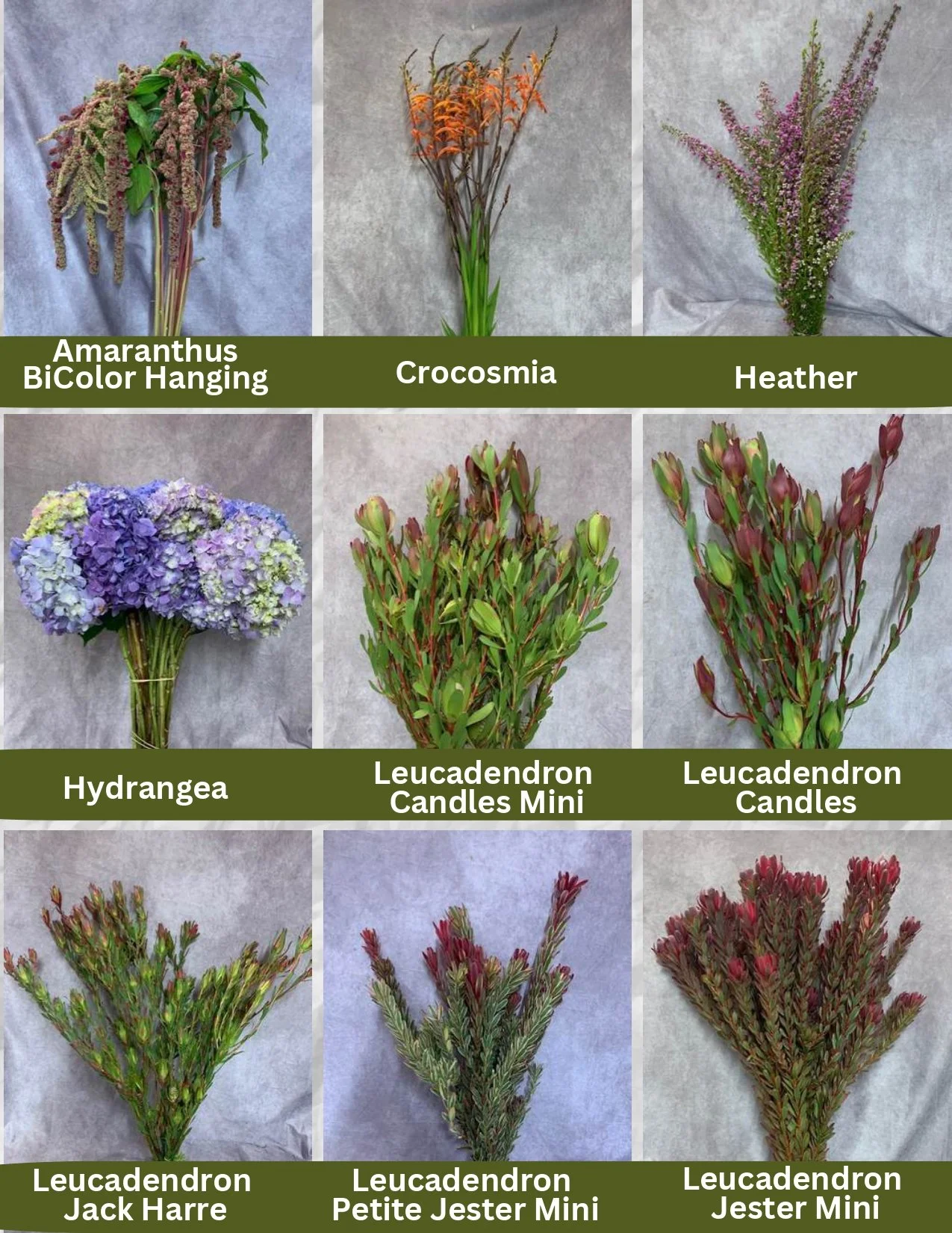 Regional Farms Pic List 12-22-25_page-0001.jpg