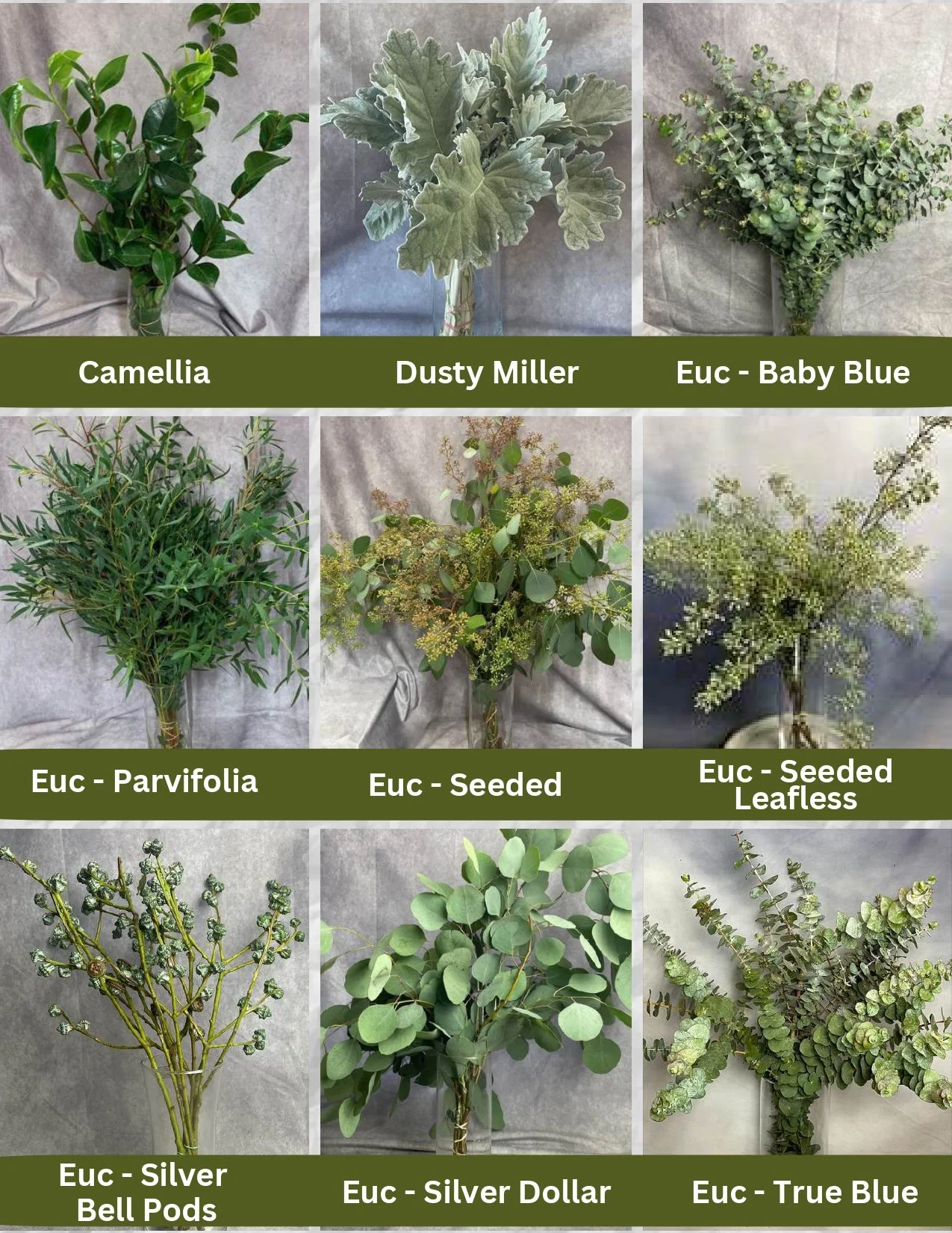 Regional Farms Pic List 12-22-25_page-0003.jpg