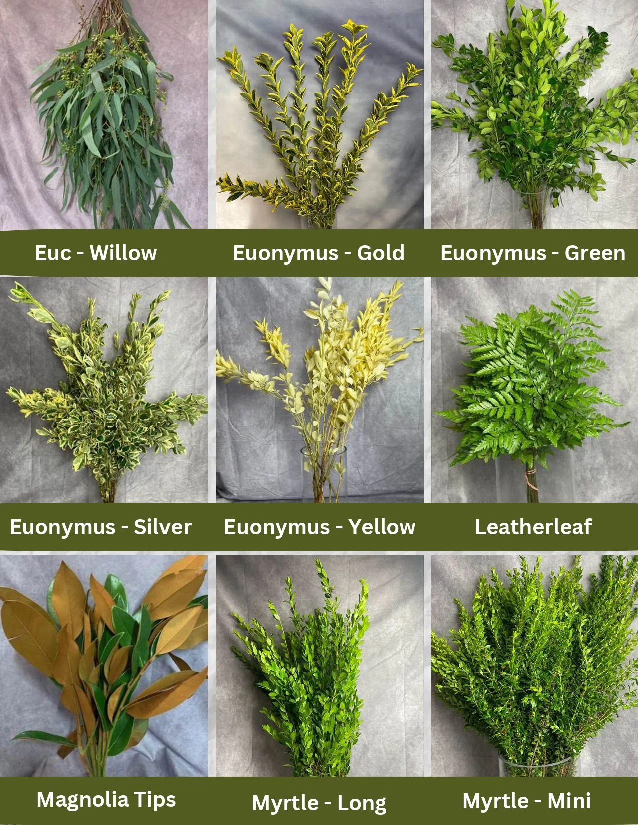 Regional Farms Pic List 12-22-25_page-0004.jpg