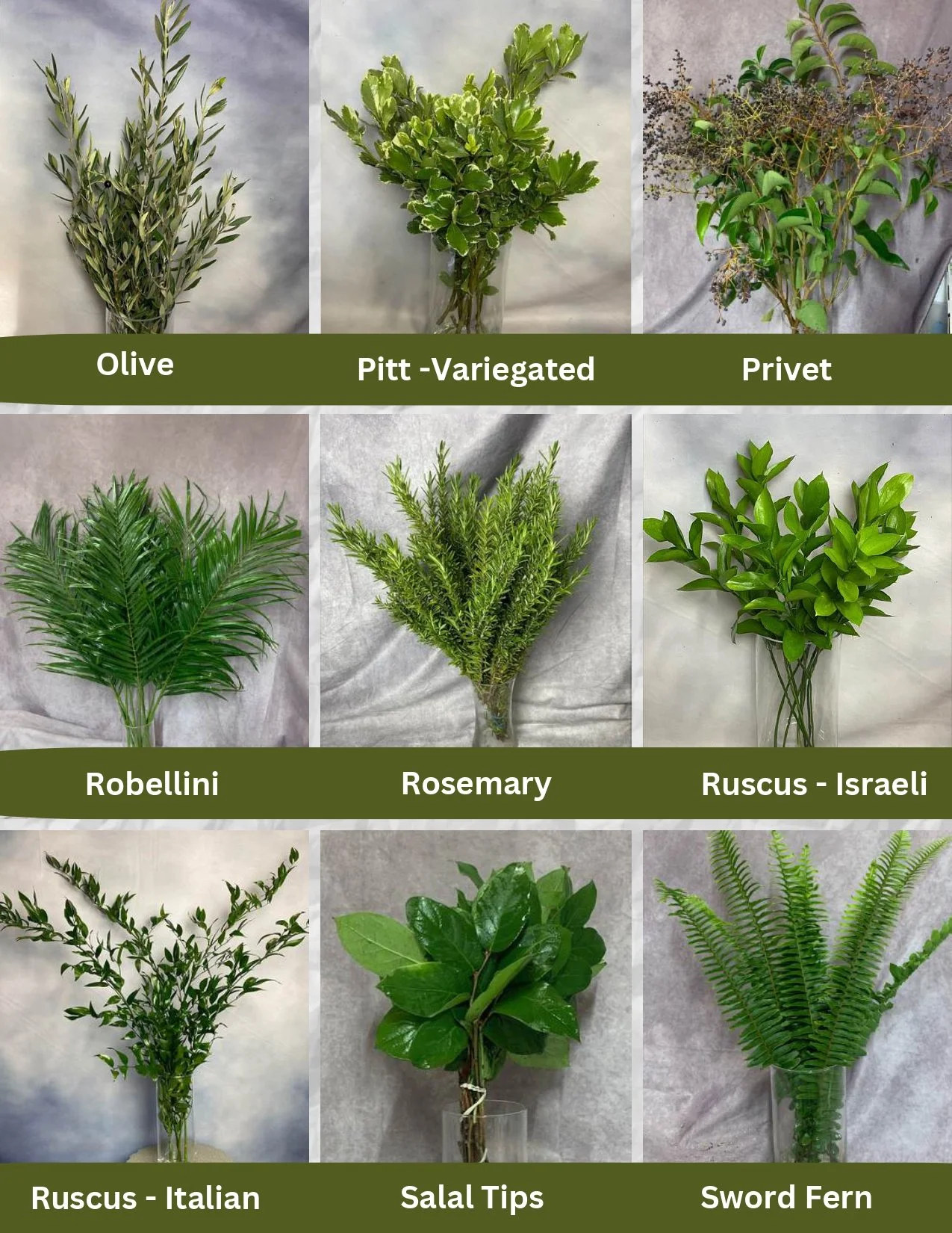 Regional Farms Pic List 12-22-25_page-0005.jpg