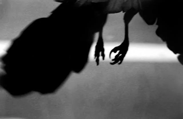 Masahisa Fukase
