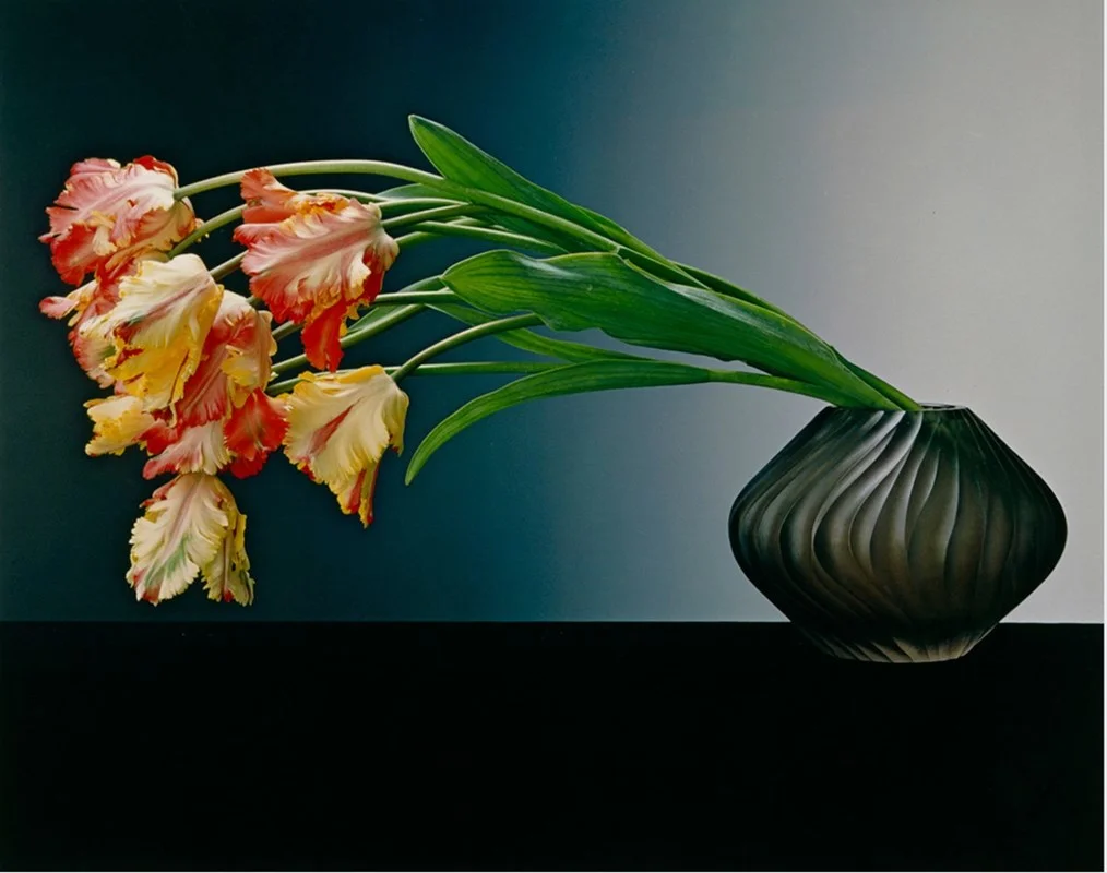 Robert Mapplethorpe