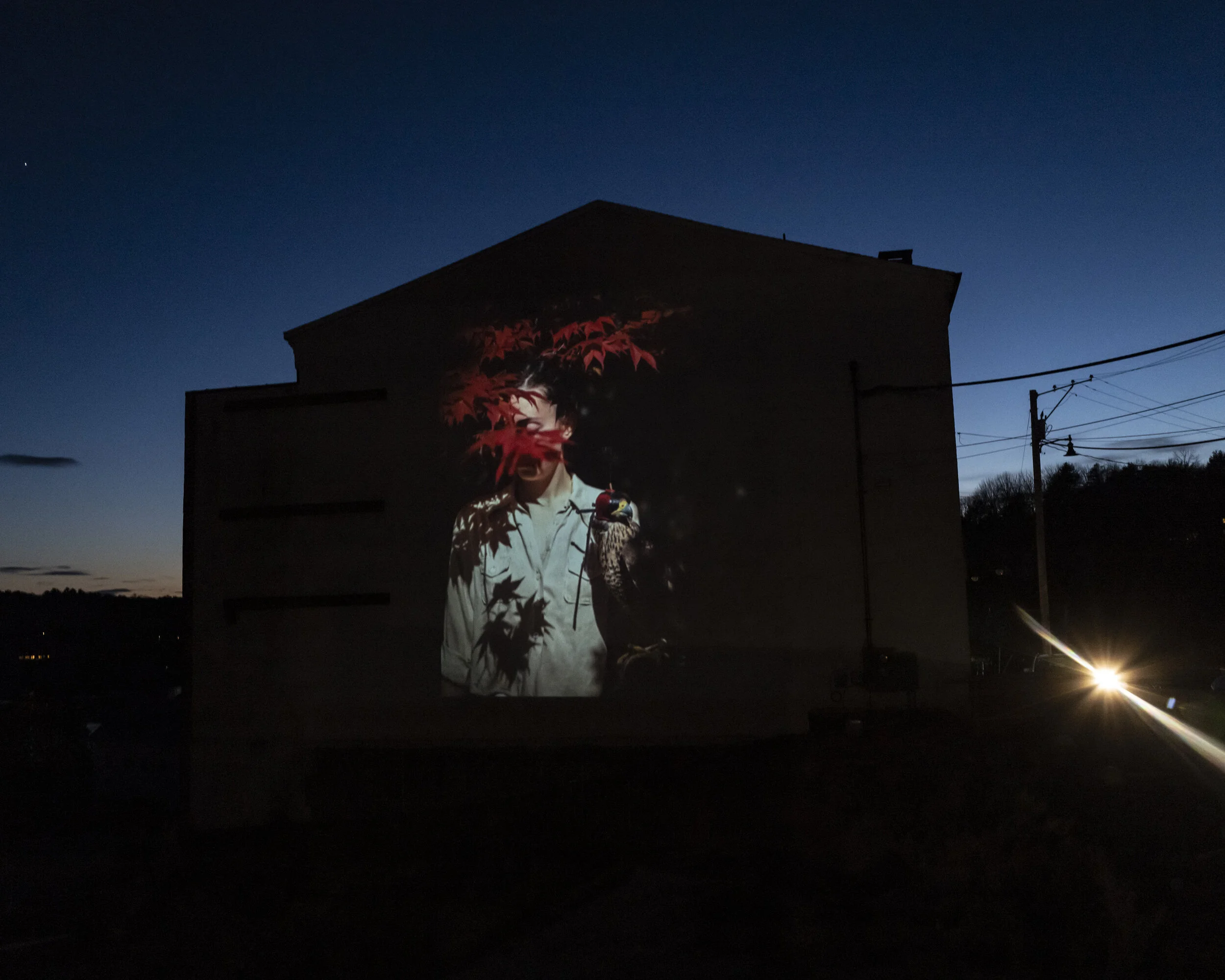 MEMBERS | A Roundtable Discussion with Cig Harvey, Paul Kopeikin, and W.M. Hunt