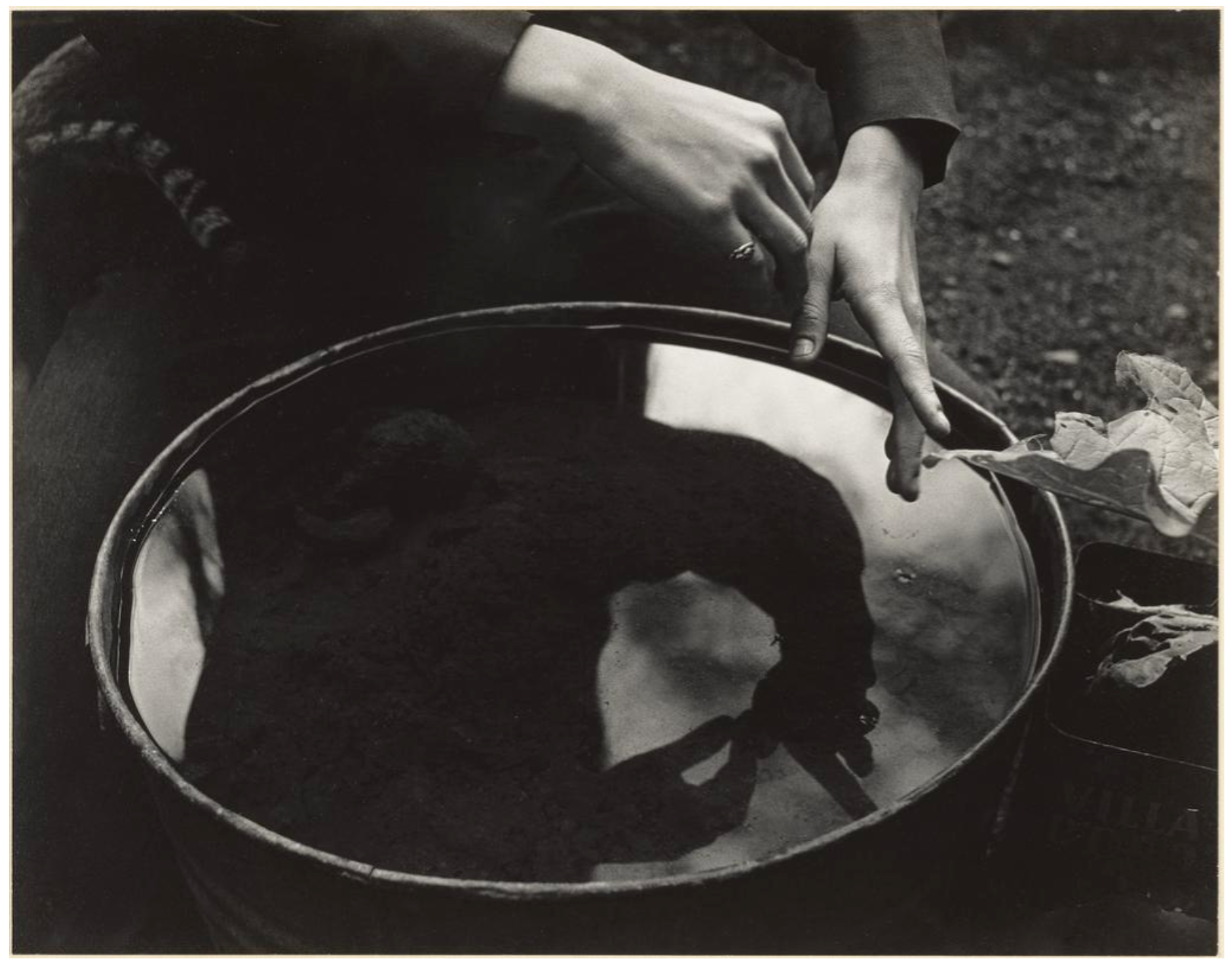 April 5 &amp; 30–Curator Walkthrough: Imogen Cunningham: A Retrospective, Getty