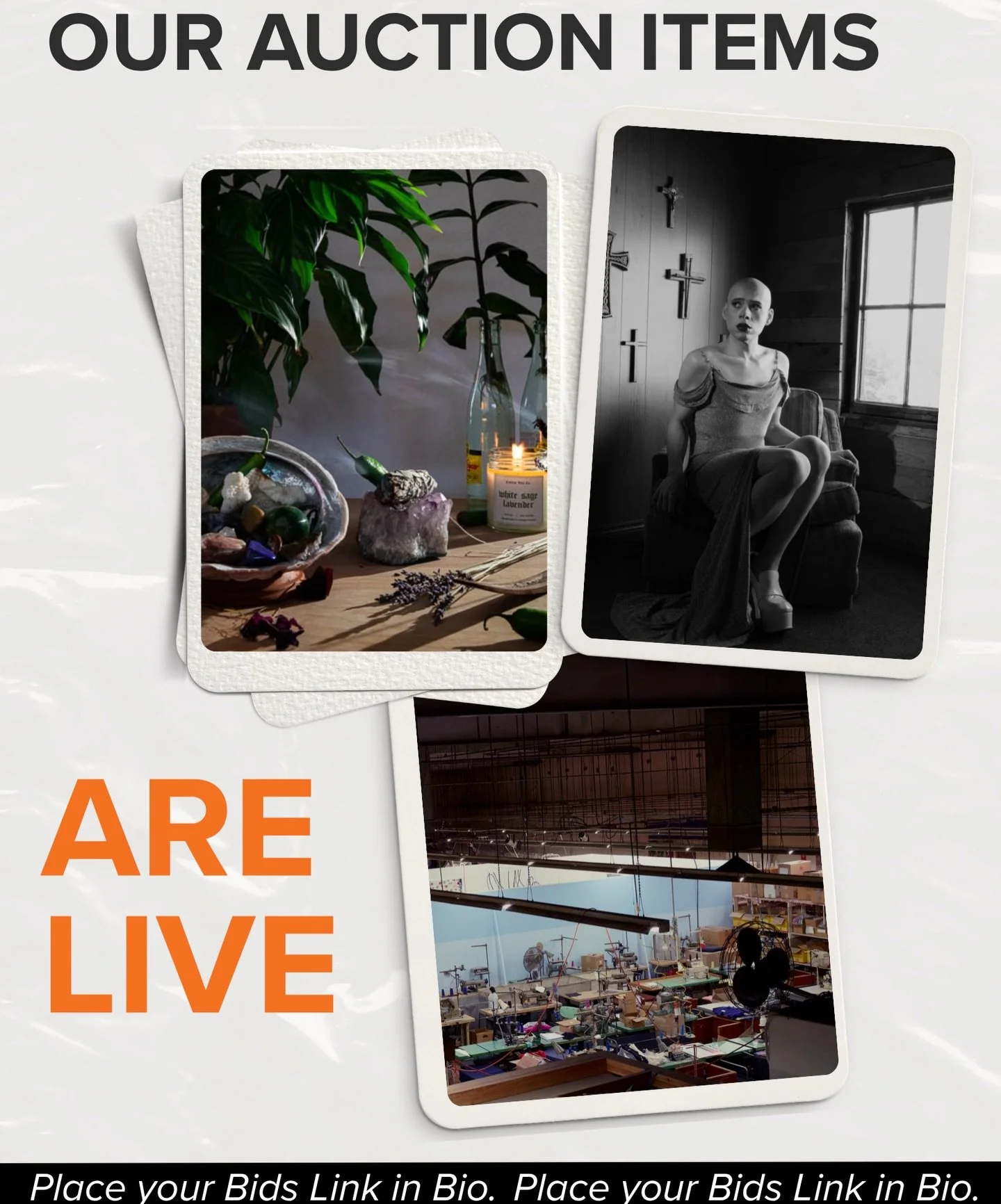 The auction is live. 

Our PAC LA Partners Benefit Auction officially opens today at noon&mdash;and trust us, you&rsquo;ll want to click through.

Browse, bid, and discover an incredible lineup of works and experiences, including:

&bull; A studio vi