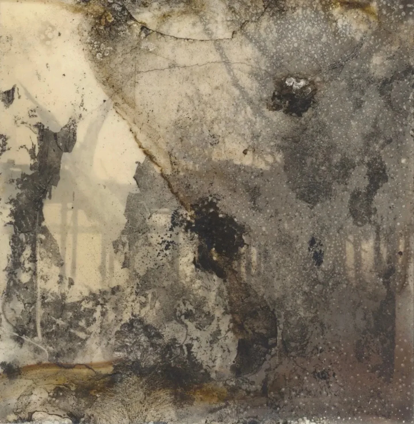 NOW SHOWING at Rose Gallery @rosegallery.official 
A powerful two-person exhibition featuring Renee Royale @reneeroyale and Binh Danh @binhtdanh &mdash; on view through April 25, 2026.

Through layered, materially driven practices, Royale and Danh ex