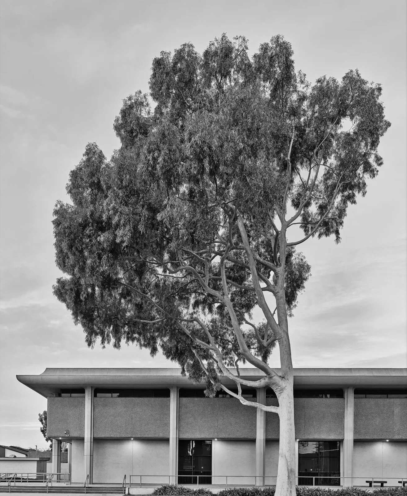 A must-see photography show in LA right now 📍

Diane Rosenstein Gallery @dianerosenstein opens its new West Hollywood space with an inaugural presentation by Amir Zaki. @amir_zaki_ 

Featuring fifteen black-and-white photographs, Zaki&rsquo;s latest