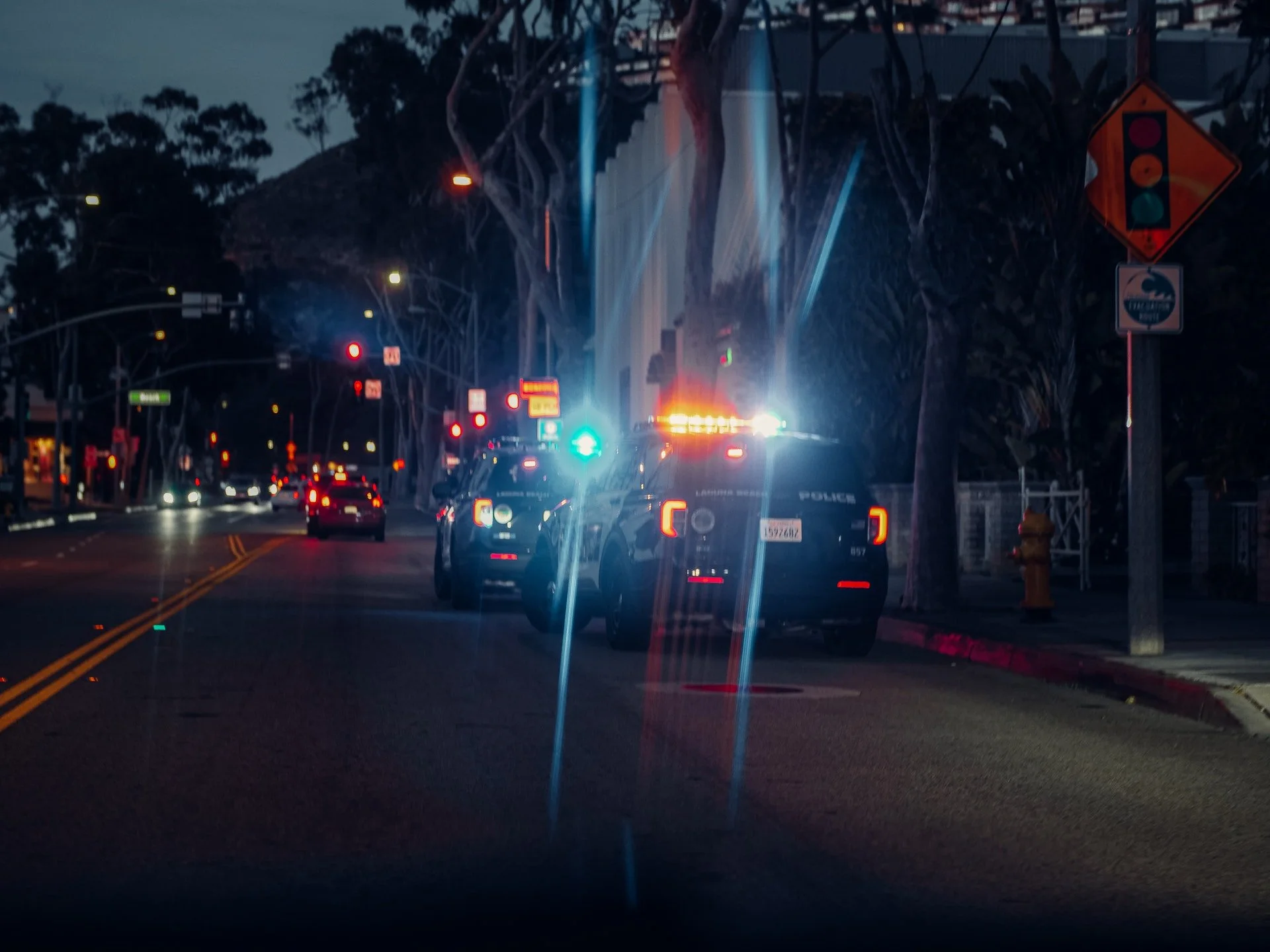 police vehicle stop.jpg