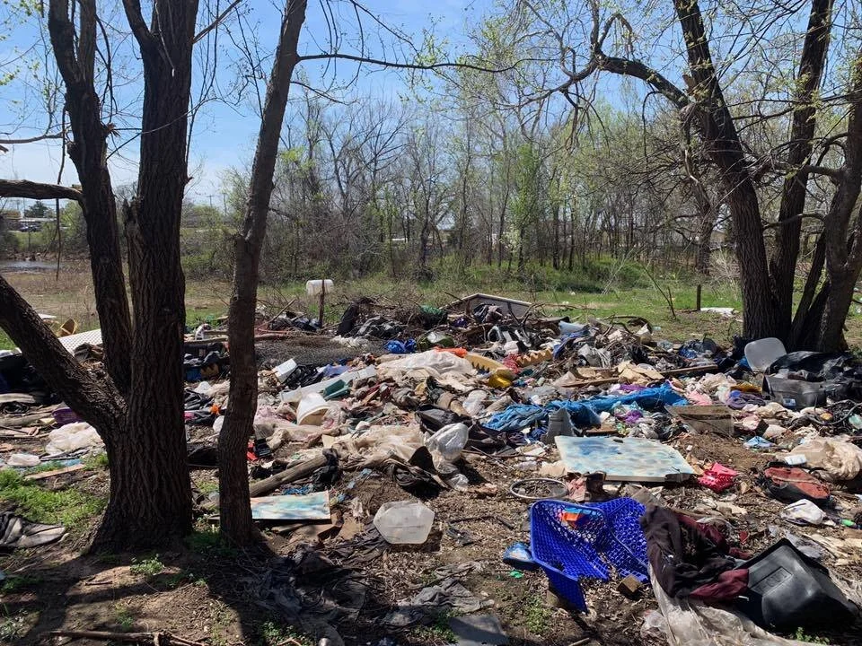 Guide To Yard Waste Removal