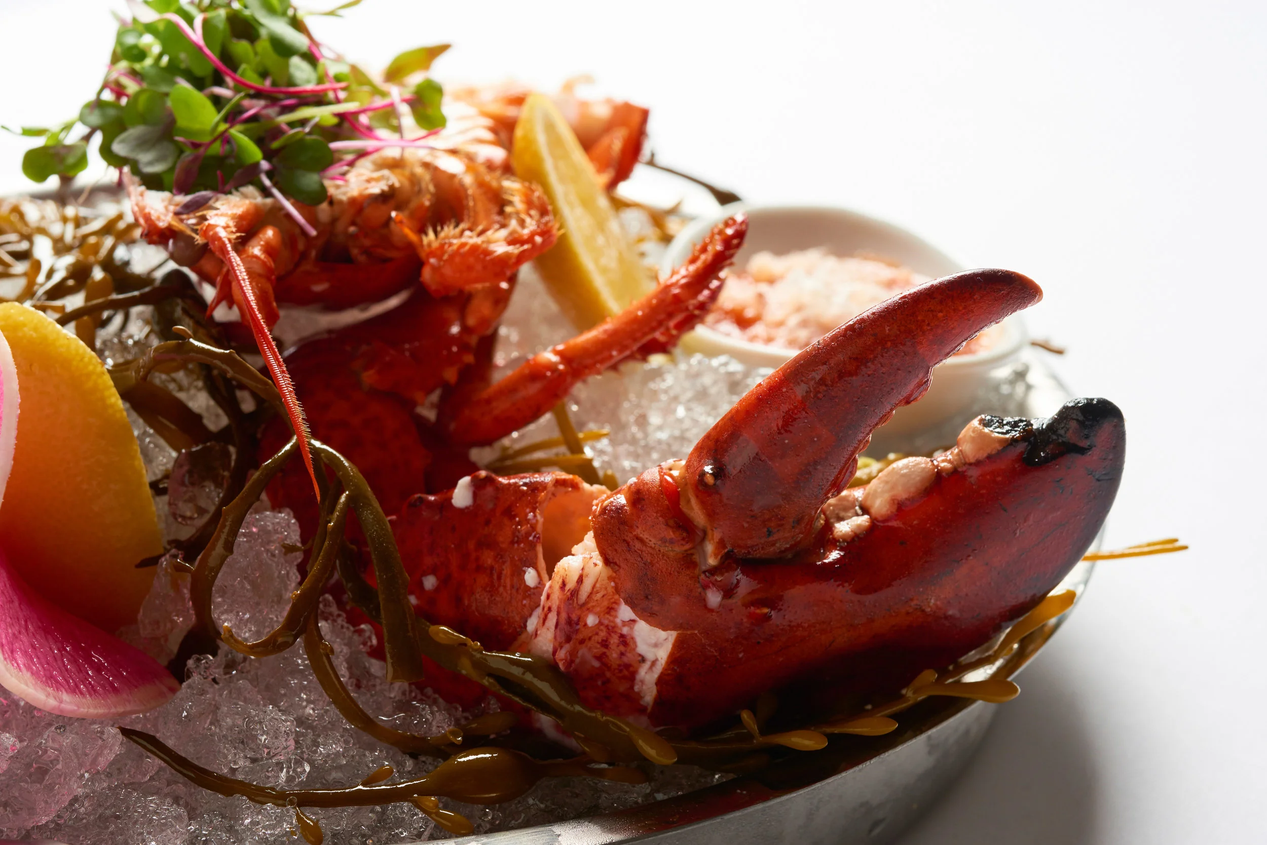 2016_Sep12_DP_LobsterCocktail_1214.jpg