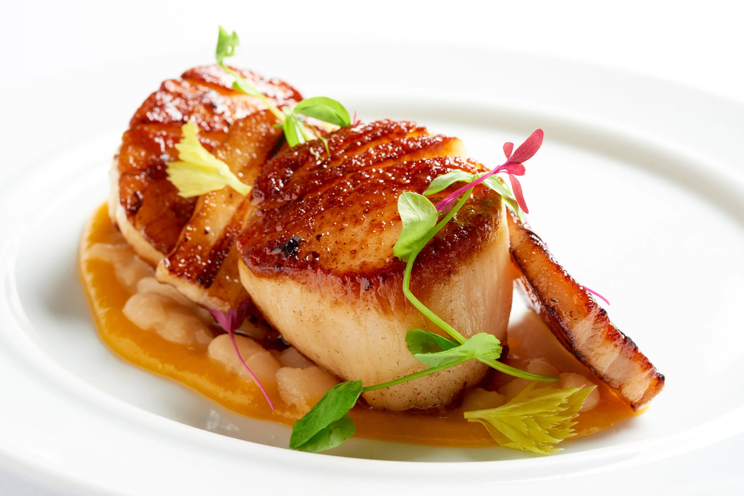 2016_Sep12_DP_MaineScallops_1326.jpg