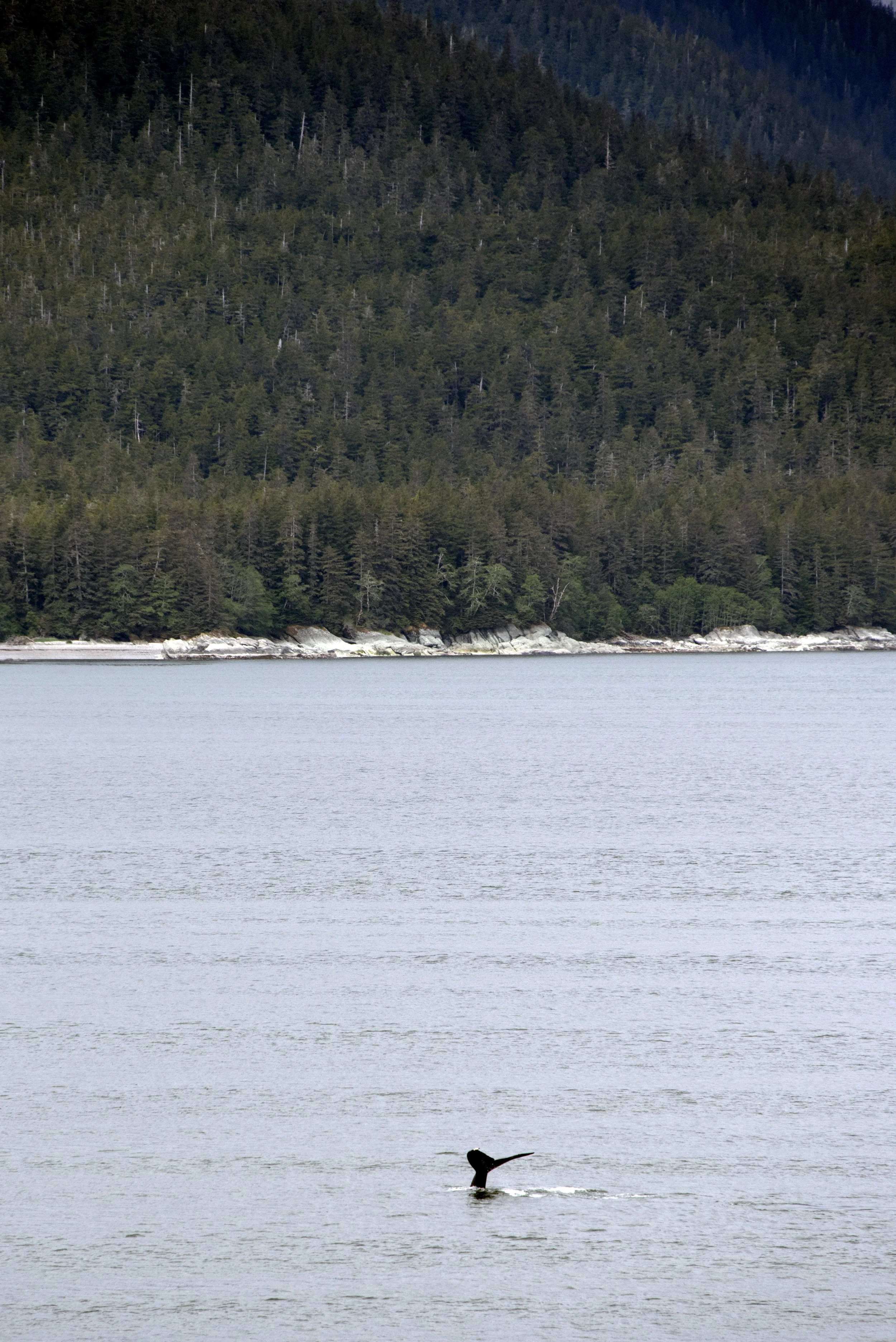 Juneau, AK