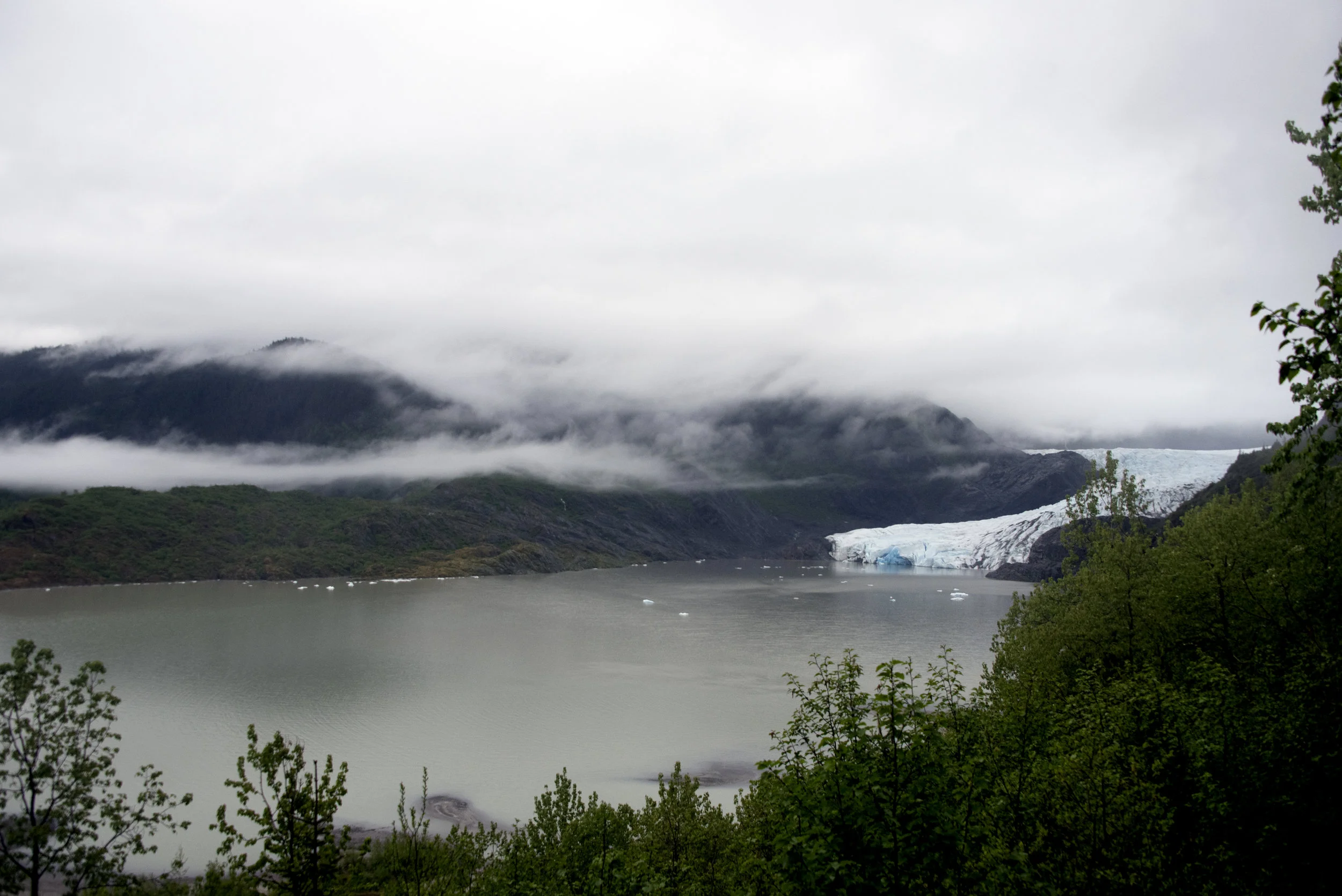 Mendenhall Glacier