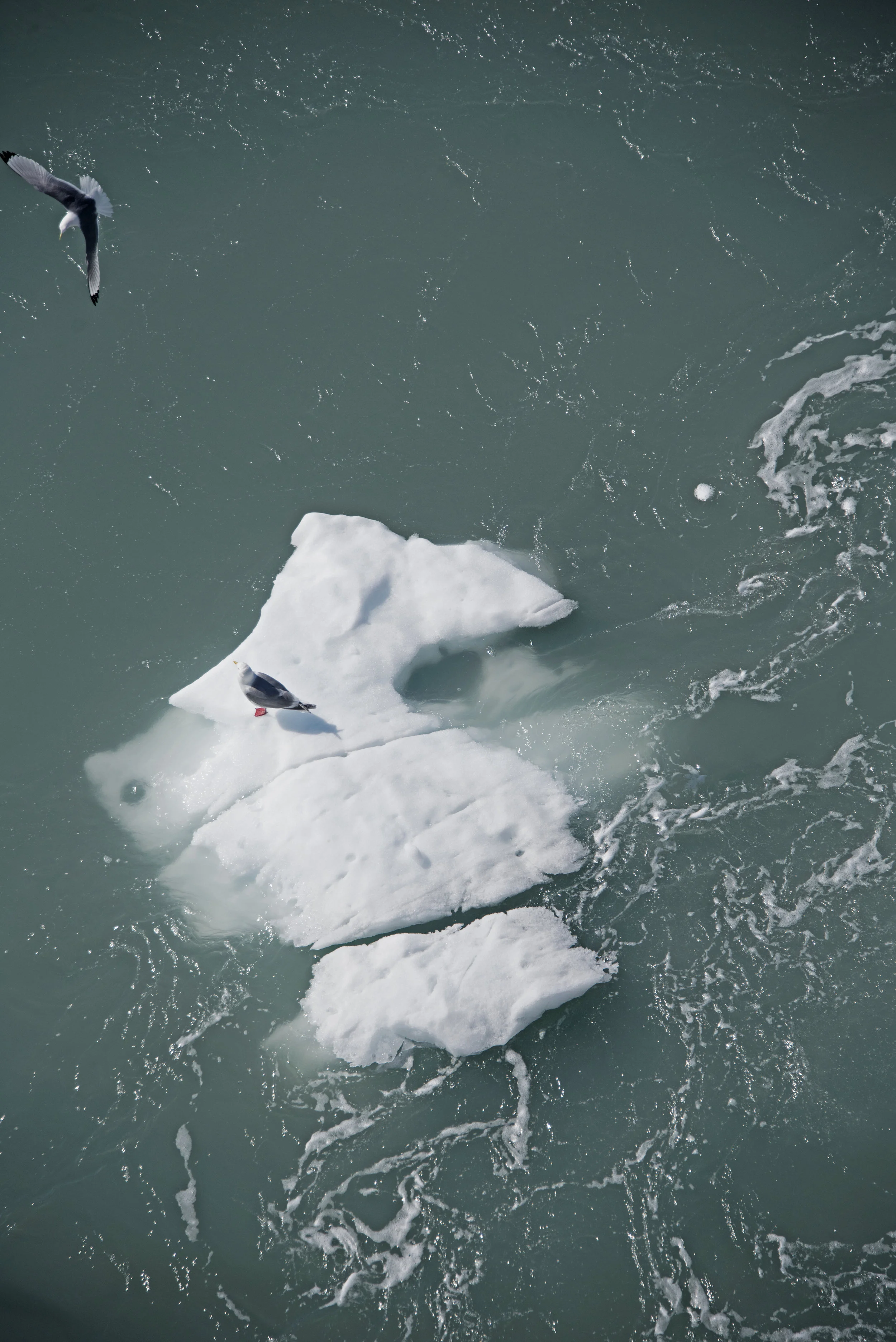 Glacier Bay National Park